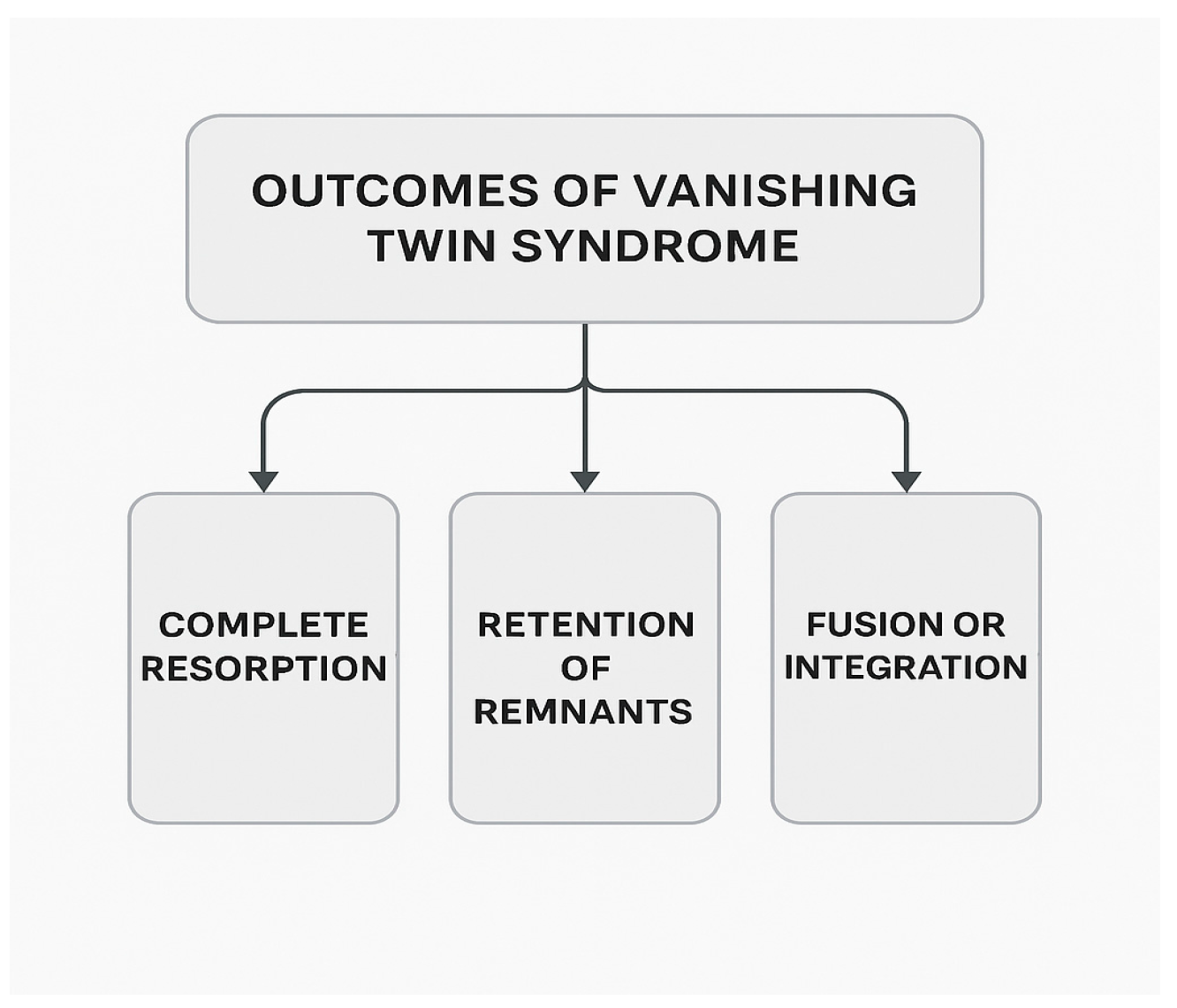 Healthcare 13 02048 g001