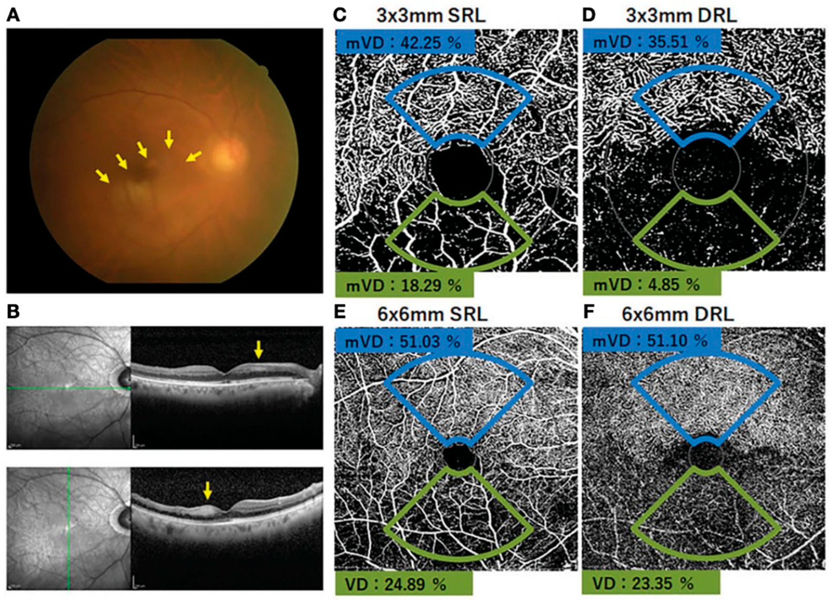 Healthcare 13 02056 g004