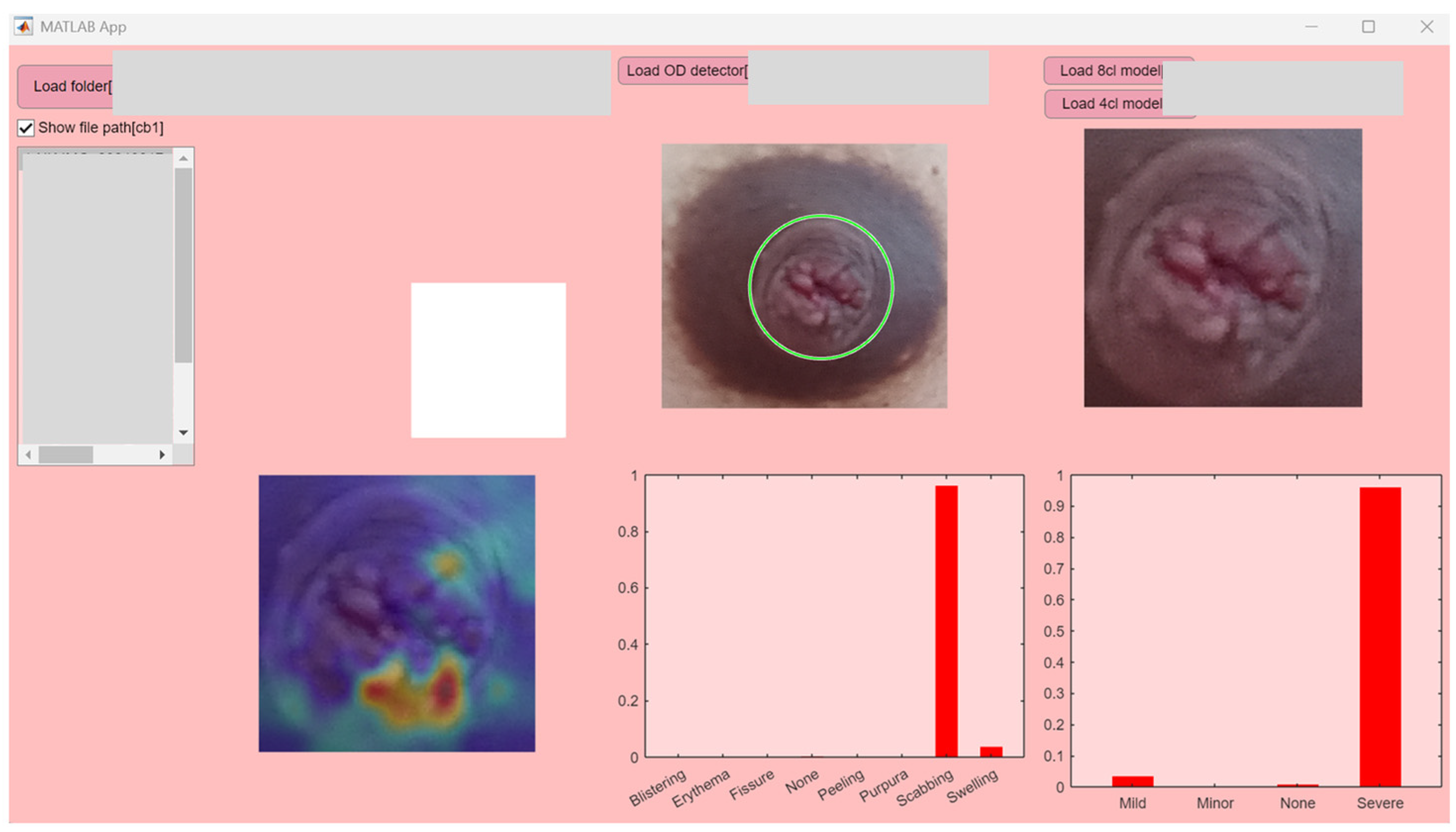 Healthcare 13 02091 g003