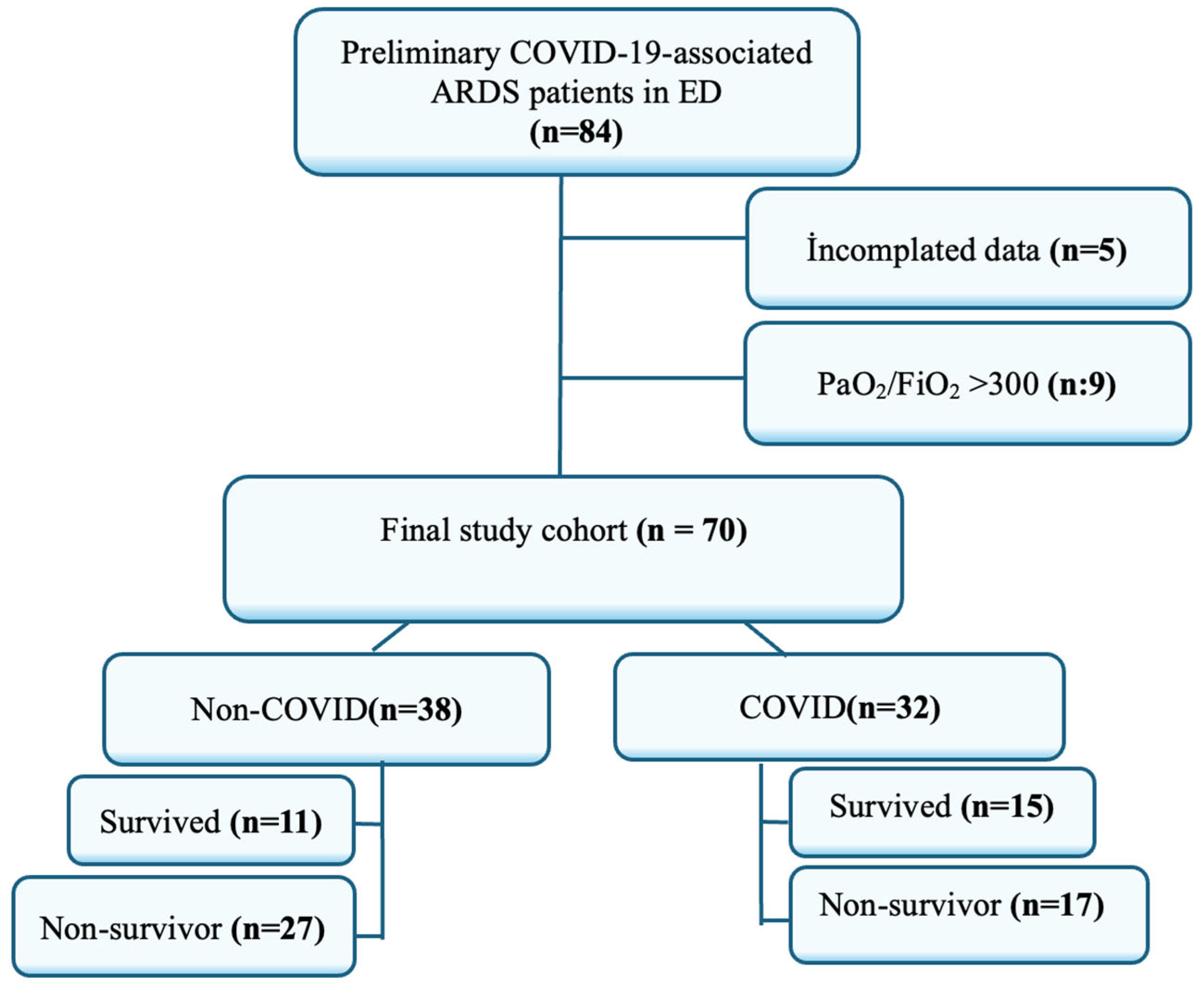 Healthcare 13 02139 g001