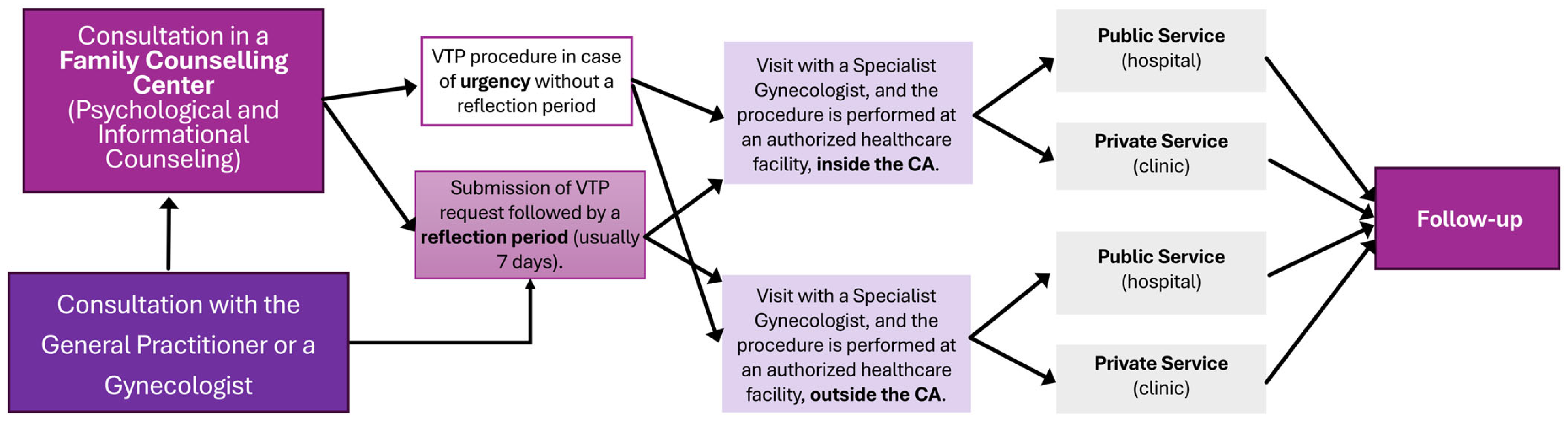 Healthcare 13 02160 g001
