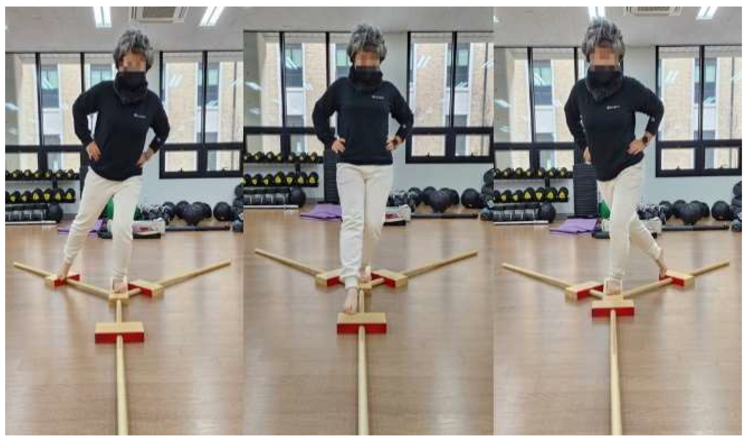 Healthcare 13 02173 g002