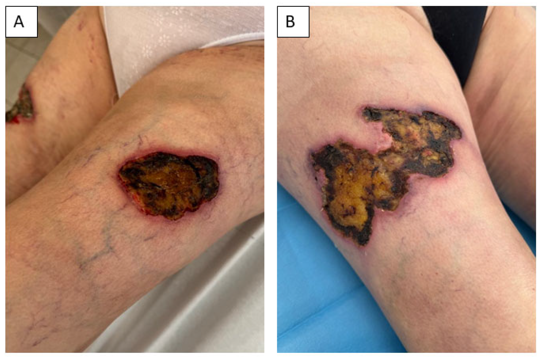 Healthcare 13 02175 g002