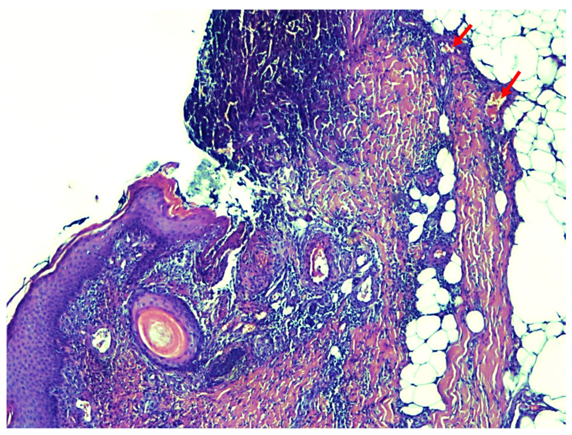 Healthcare 13 02175 g004