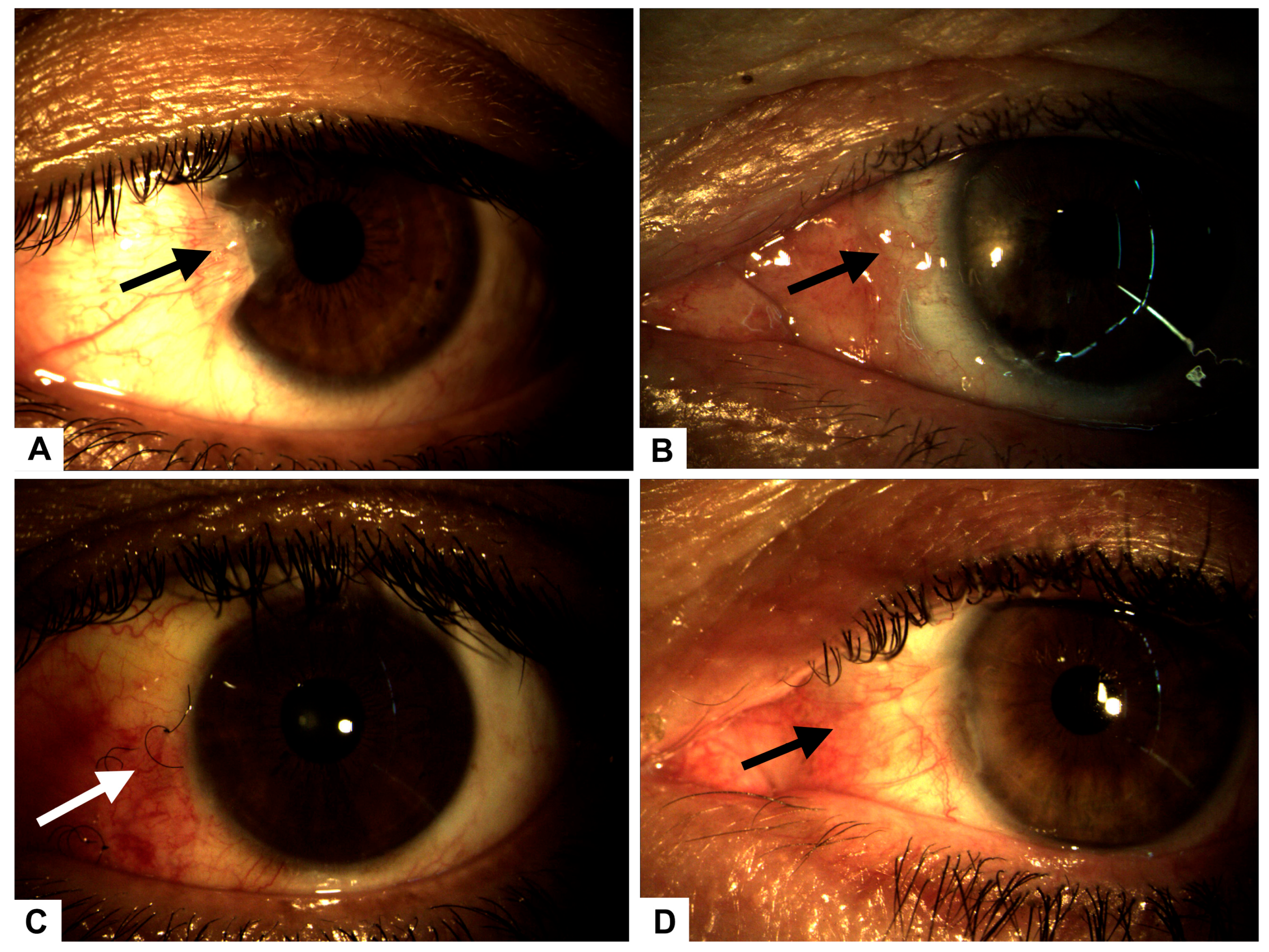 Healthcare 13 02184 g001