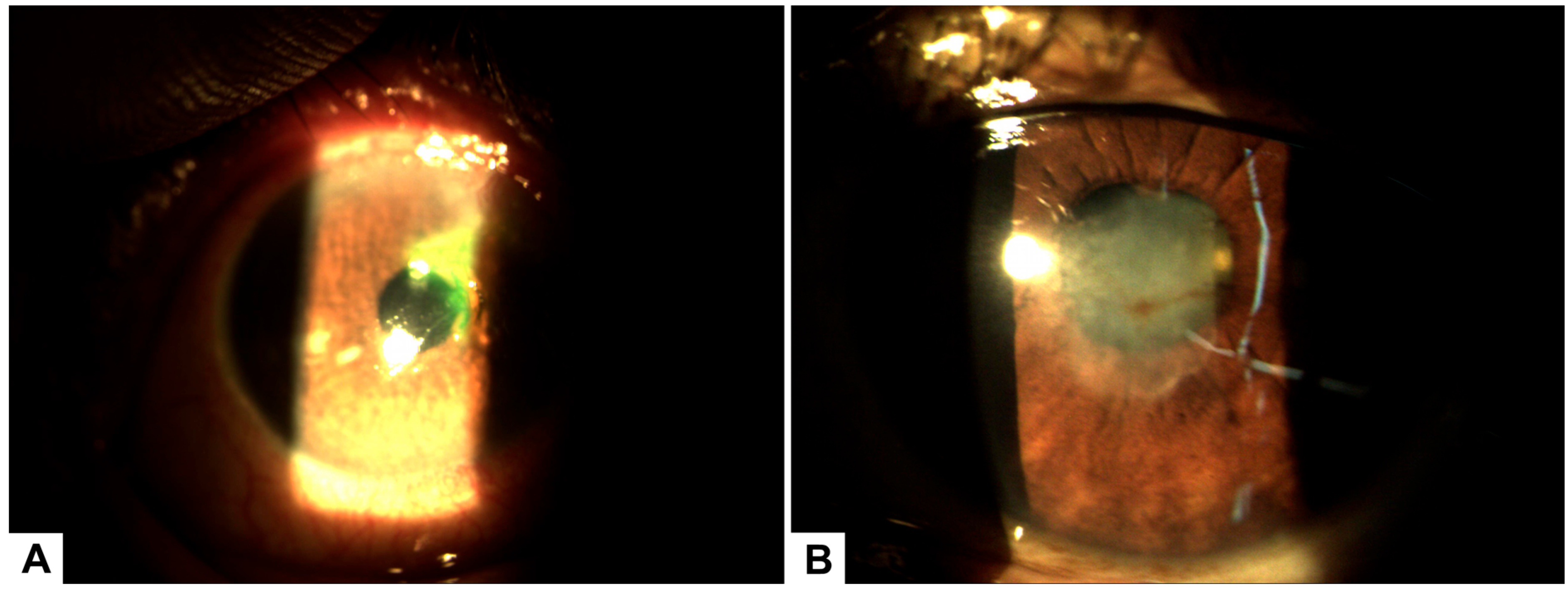 Healthcare 13 02184 g002