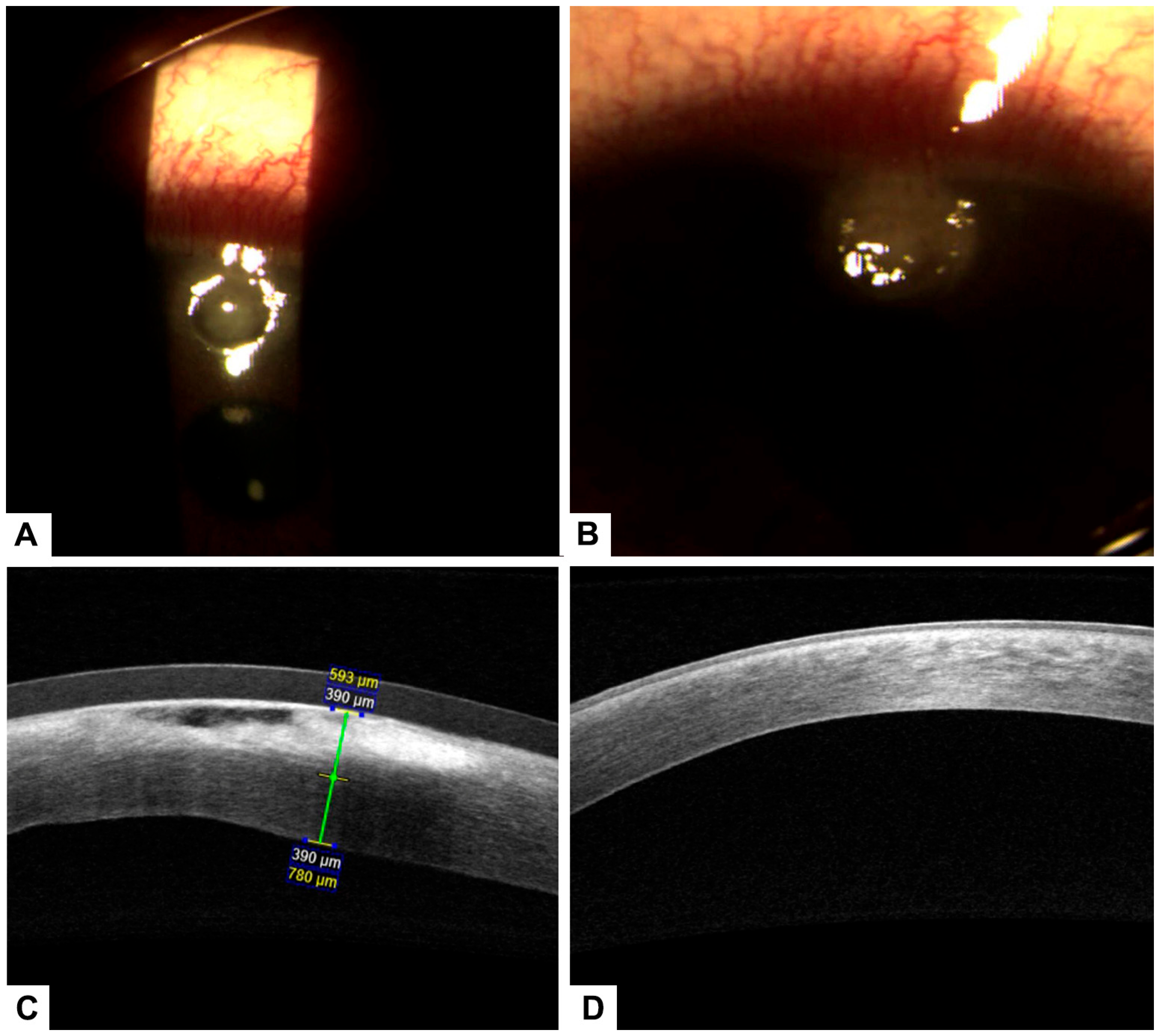 Healthcare 13 02184 g004