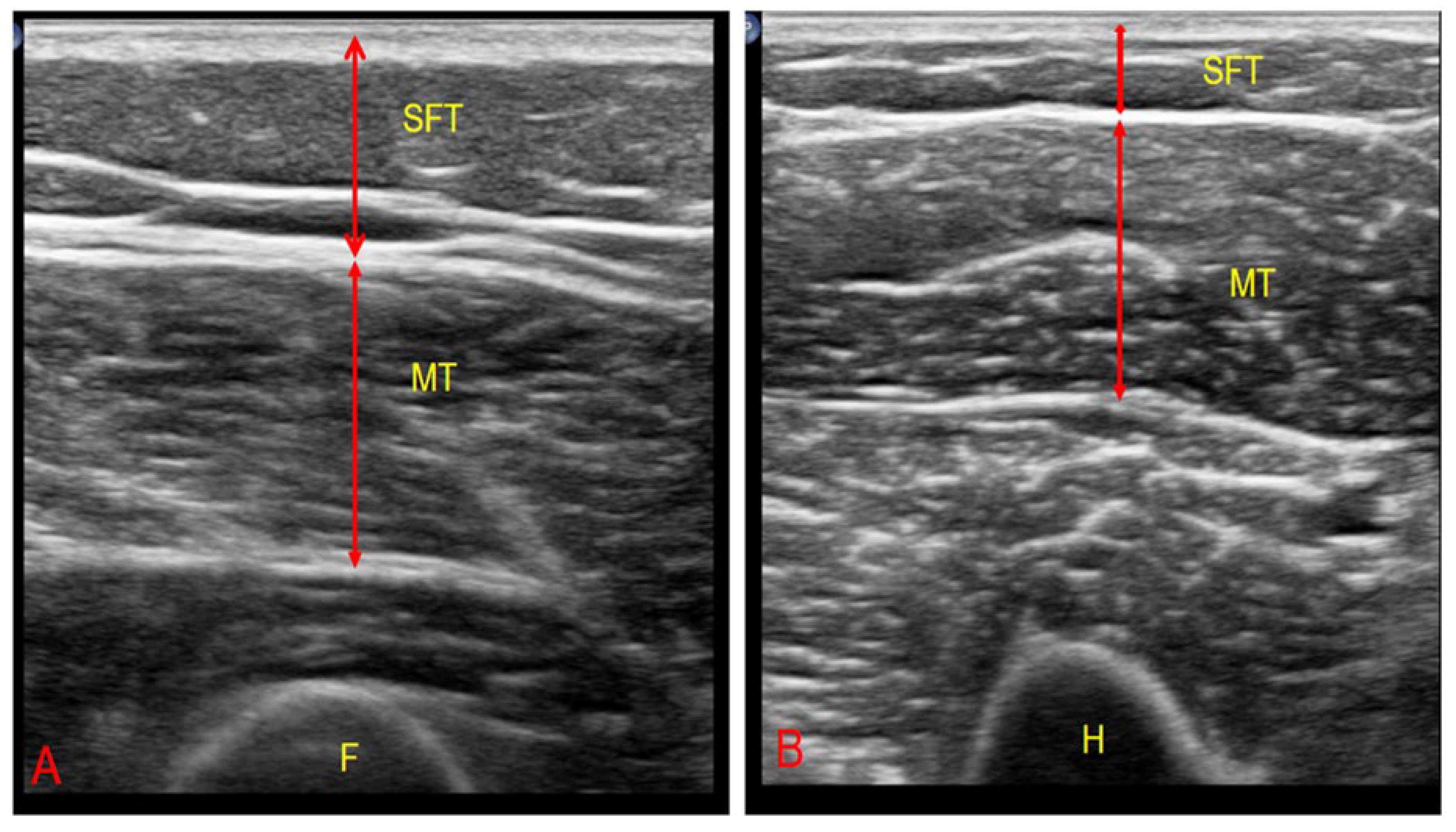 Healthcare 13 02188 g002