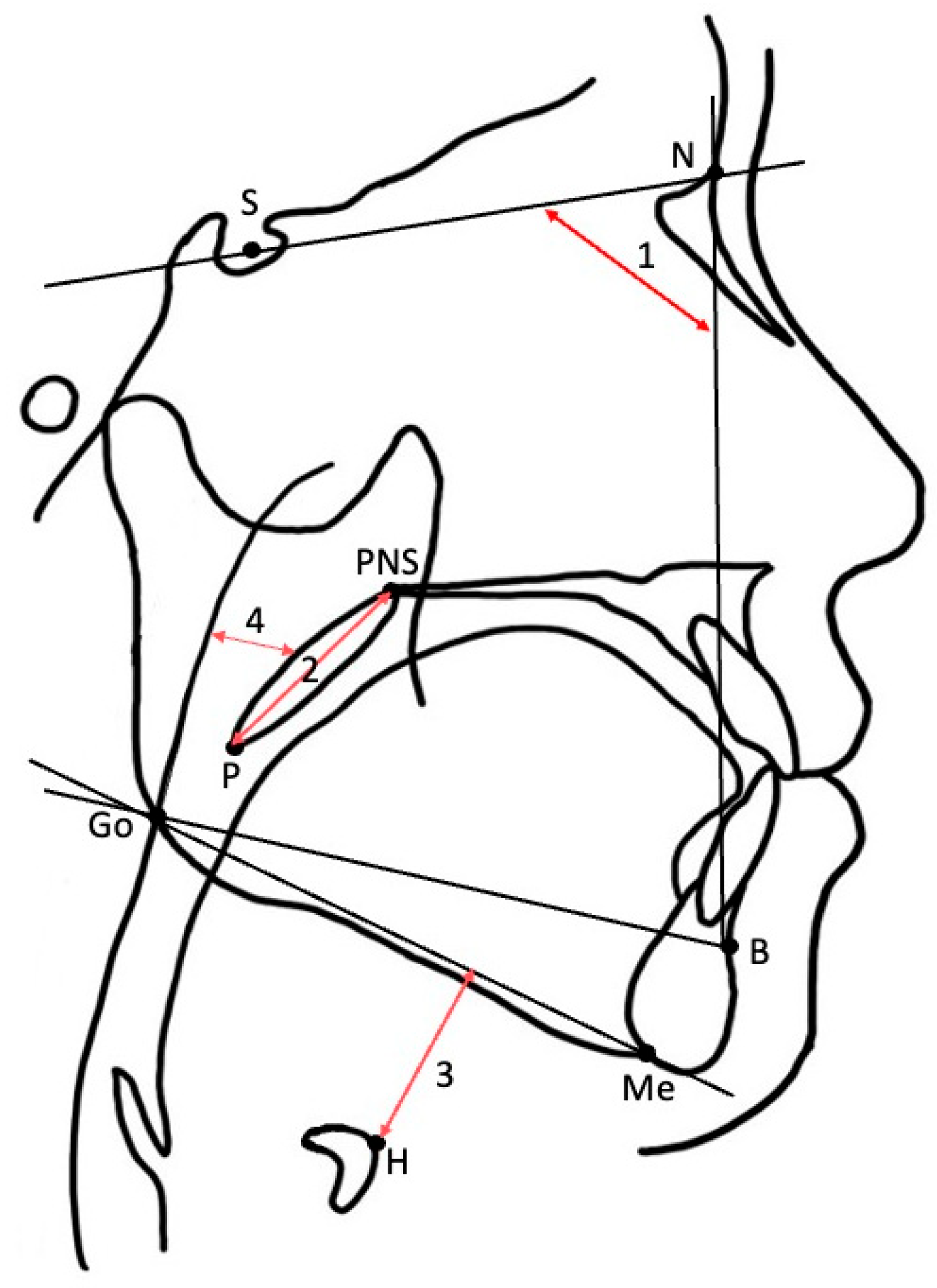 Healthcare 13 02190 g002
