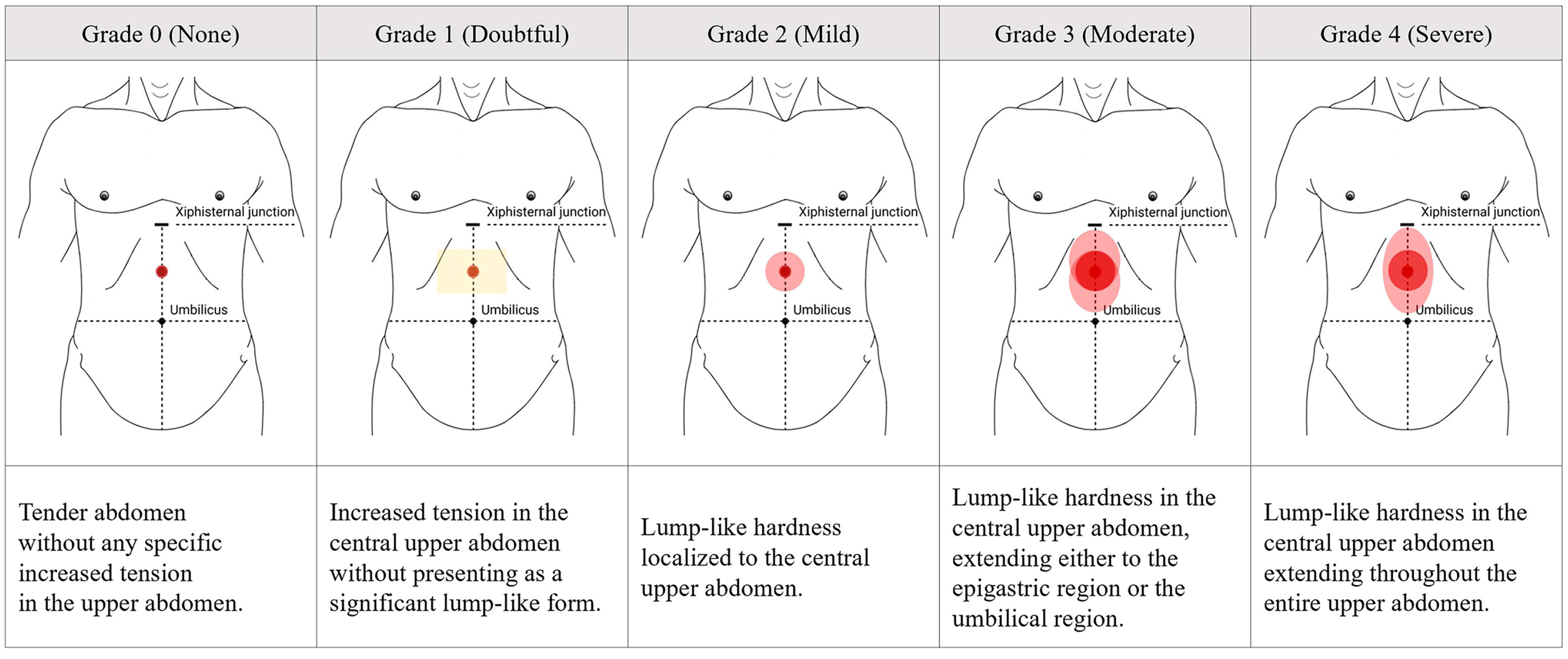 Healthcare 13 02307 g001