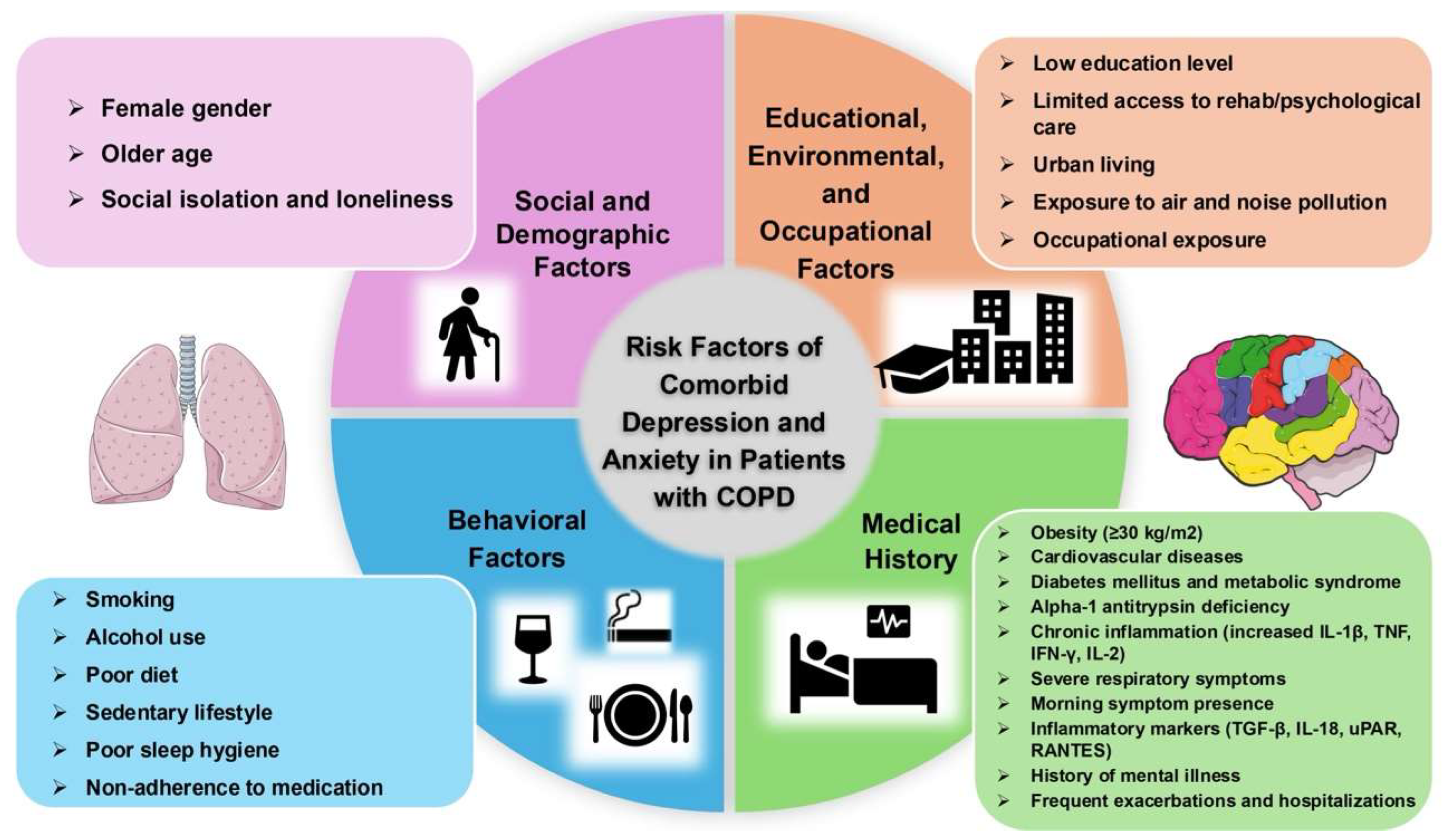 Healthcare 13 02344 g001