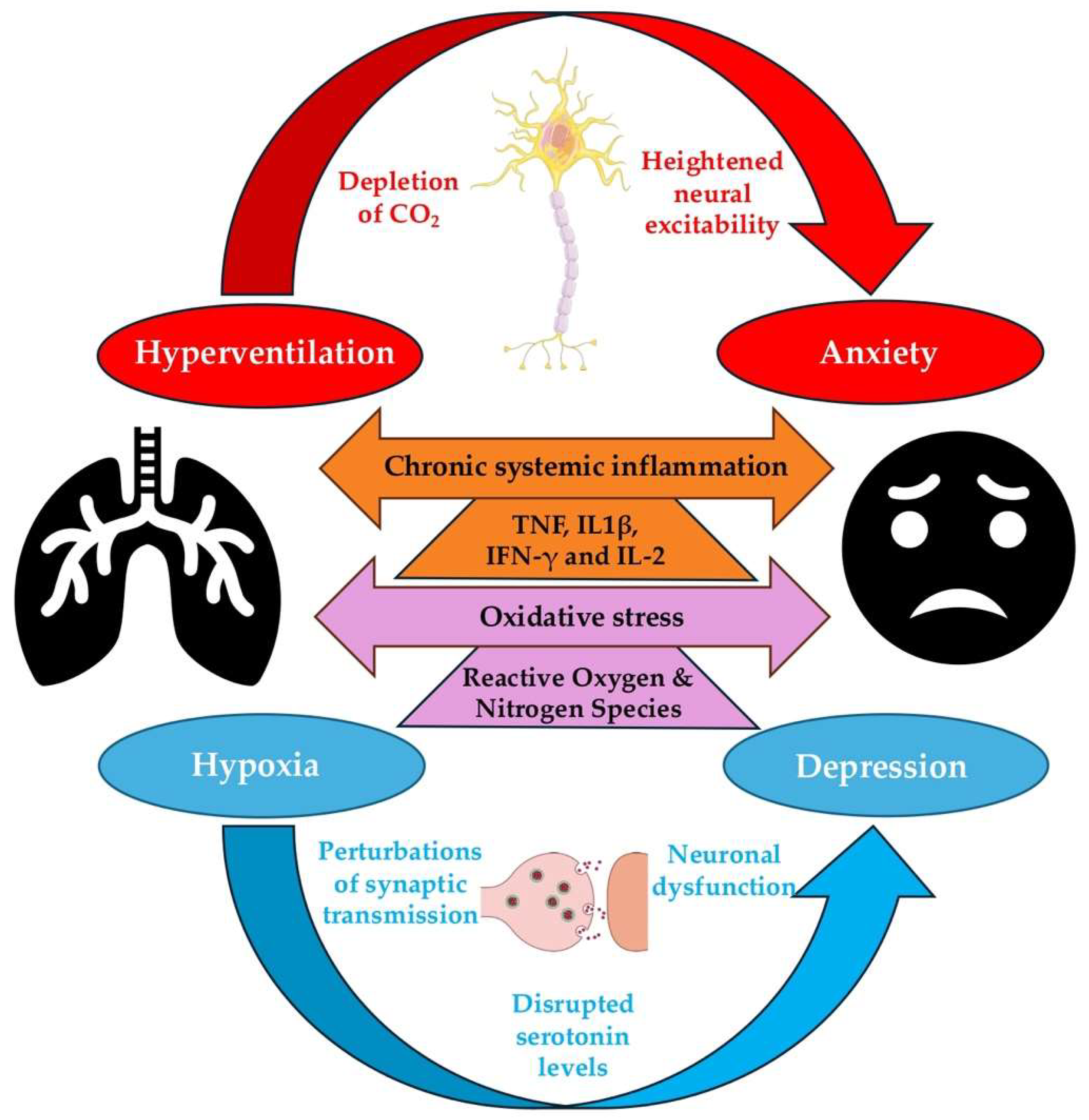 Healthcare 13 02344 g002