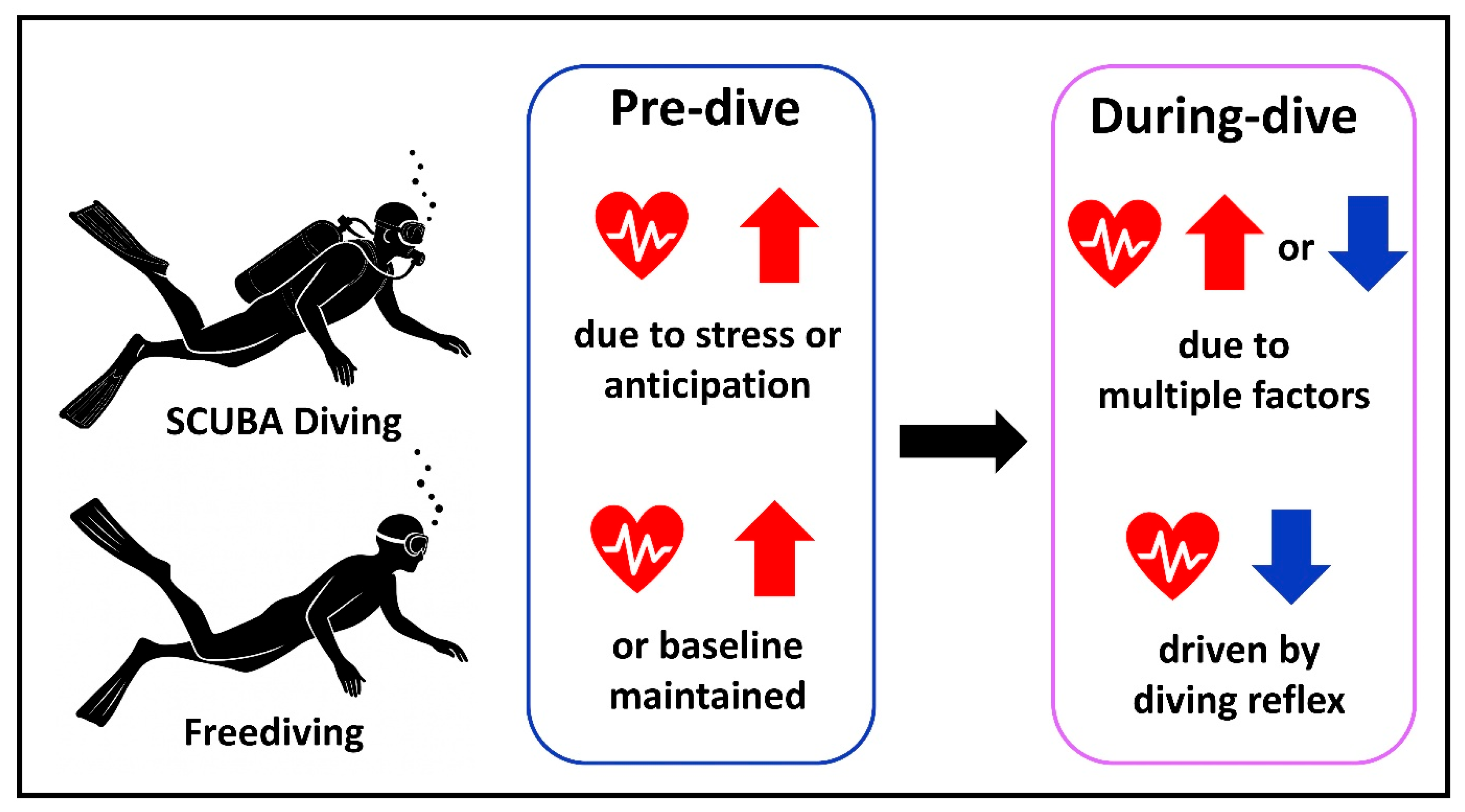 Healthcare 13 02346 g001