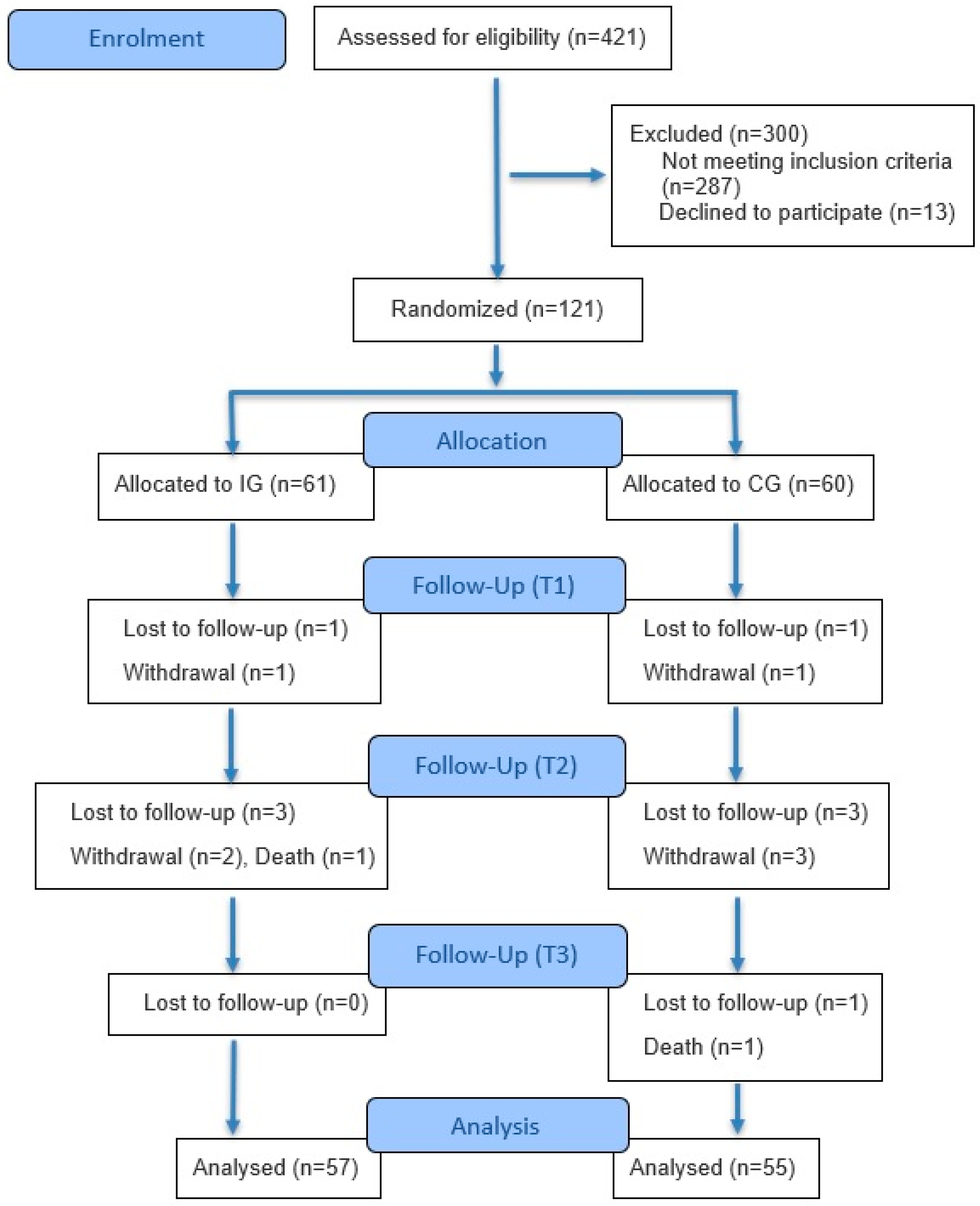 Healthcare 13 02486 g001