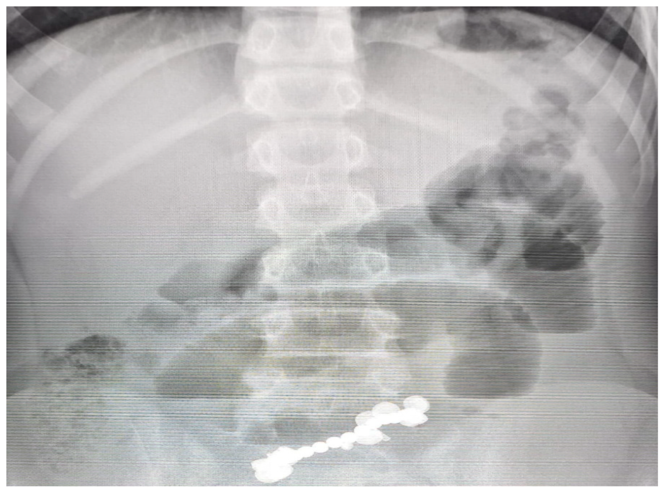 Healthcare 13 02523 g001