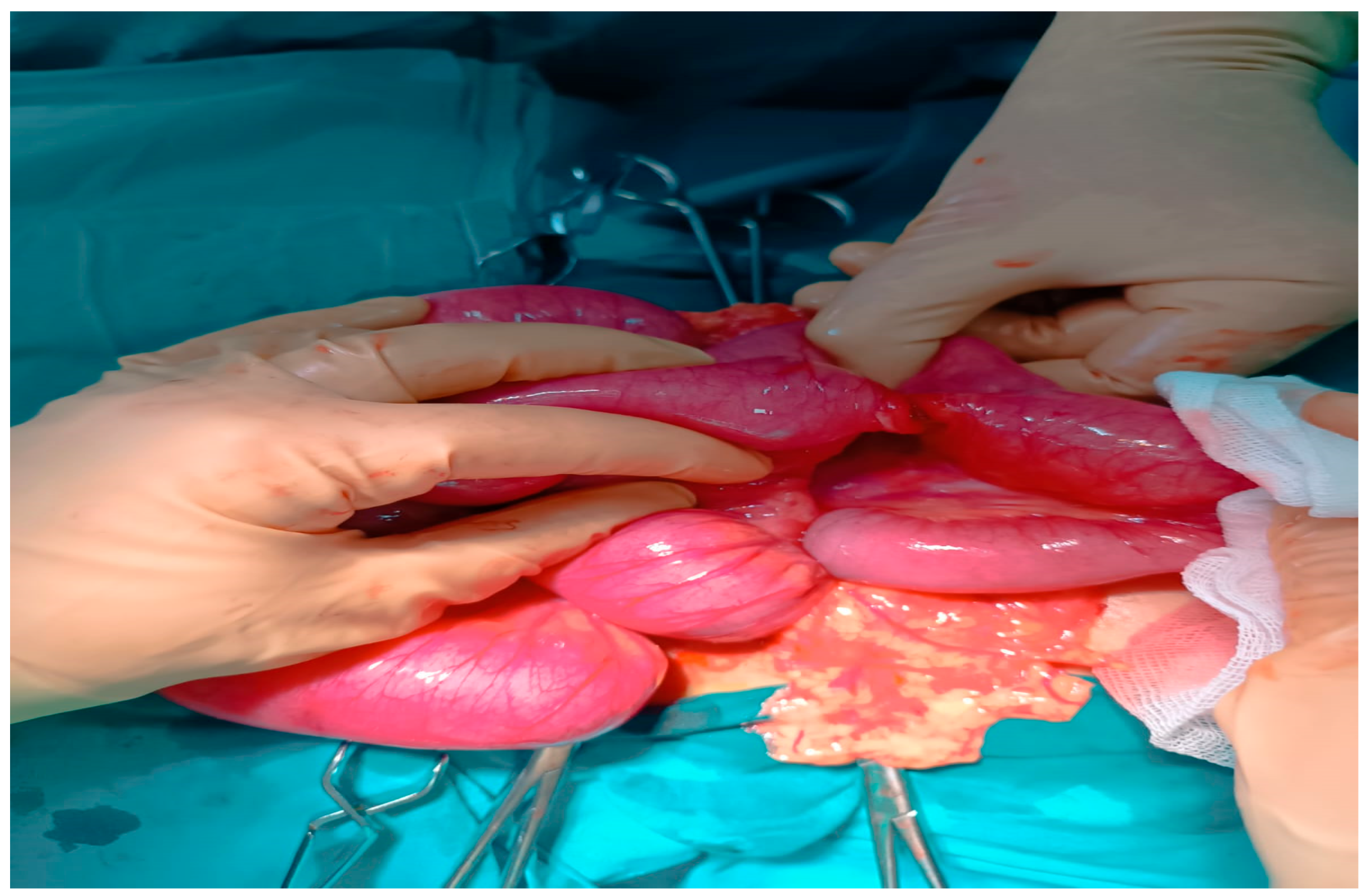 Healthcare 13 02523 g002