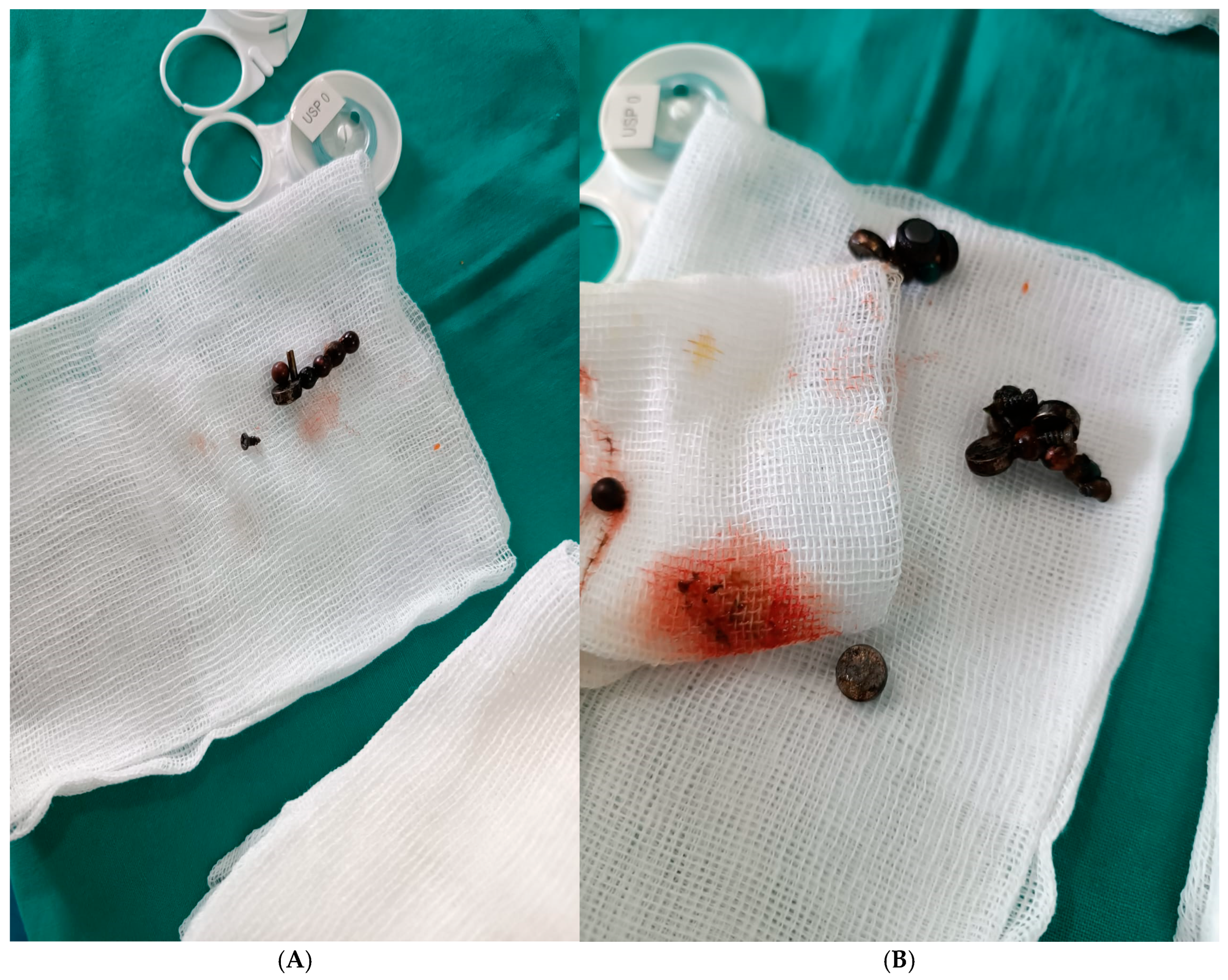 Healthcare 13 02523 g003