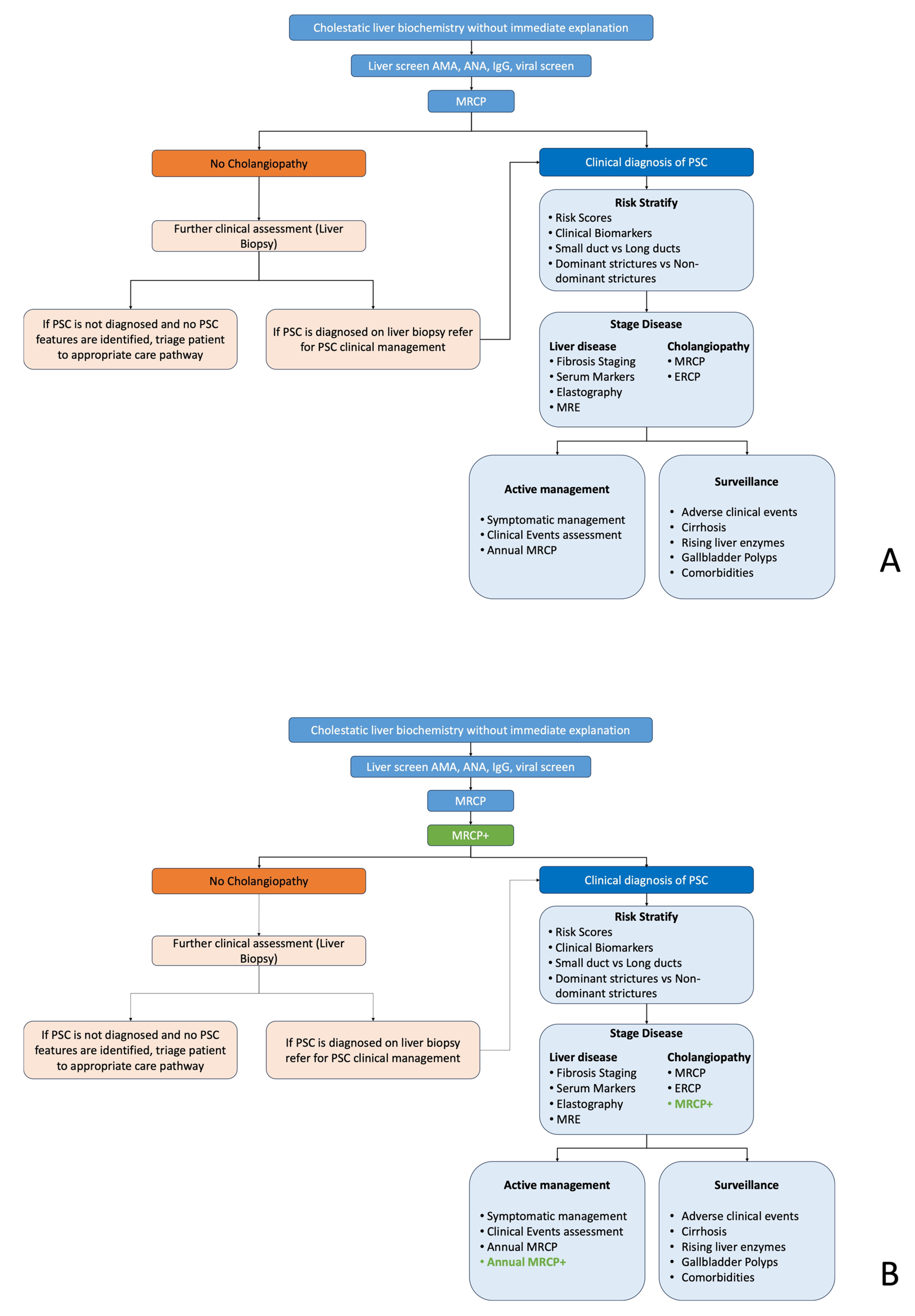 Healthcare 13 02630 g001