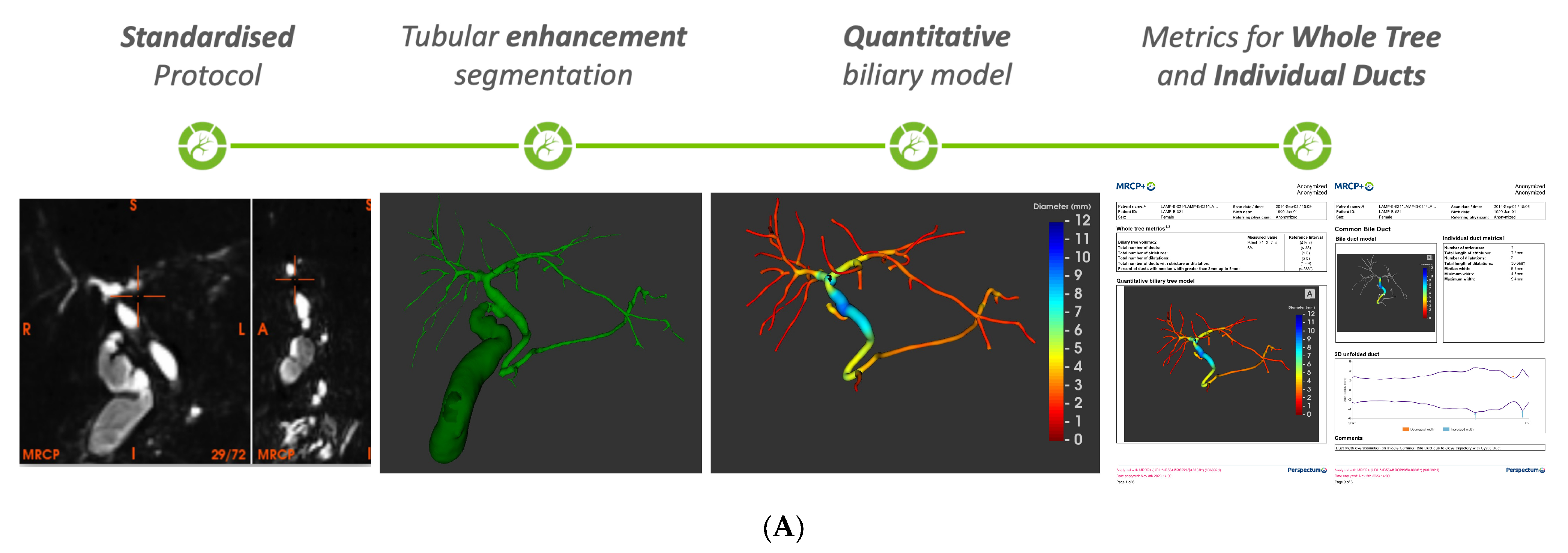 Healthcare 13 02630 g002a
