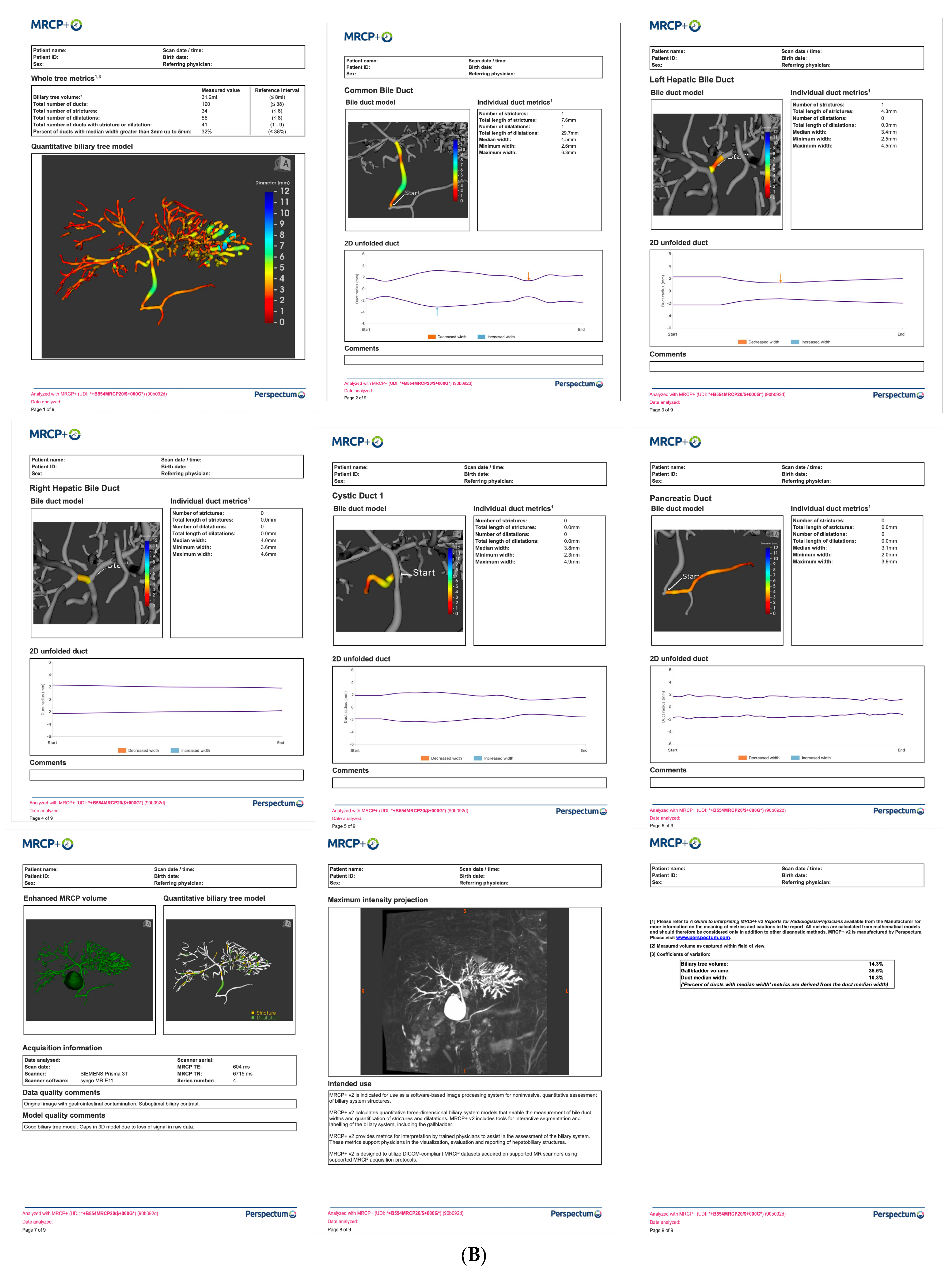 Healthcare 13 02630 g002b