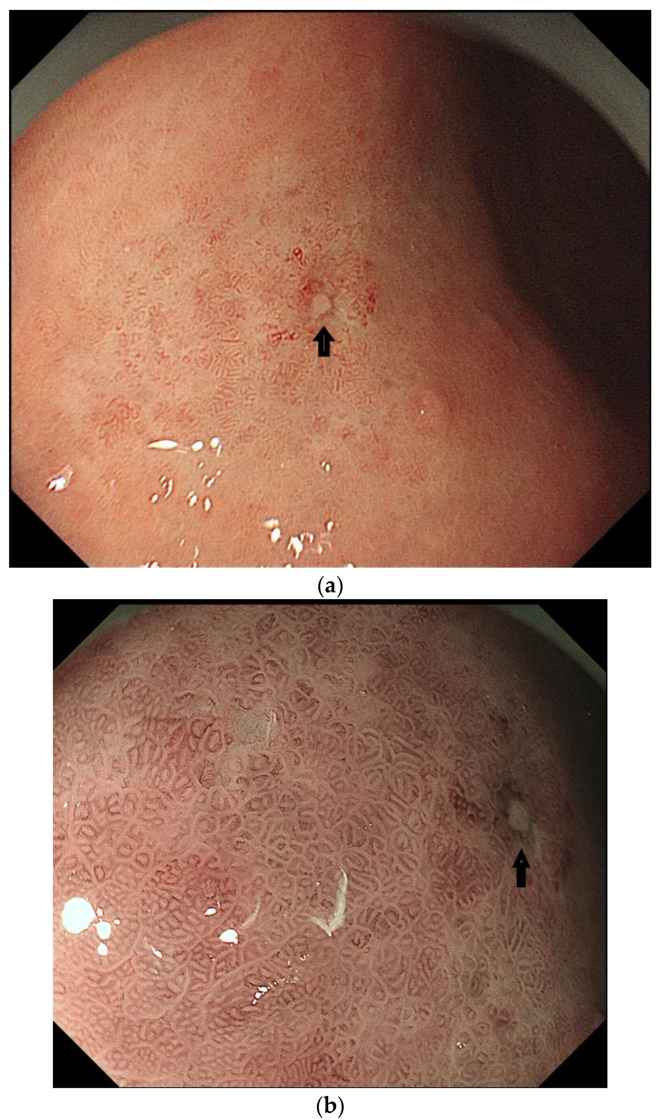 Healthcare 13 02689 g002a