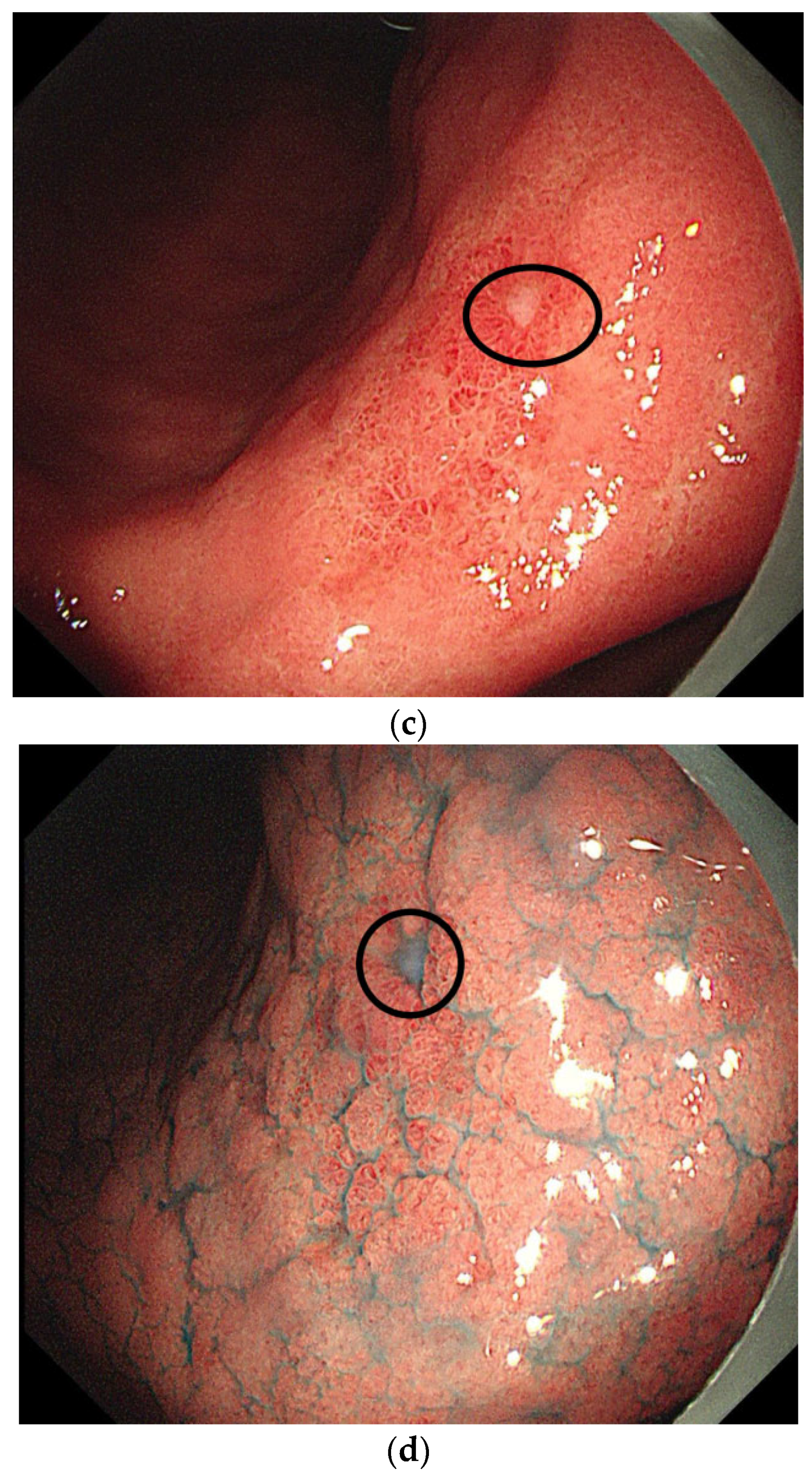 Healthcare 13 02689 g002b