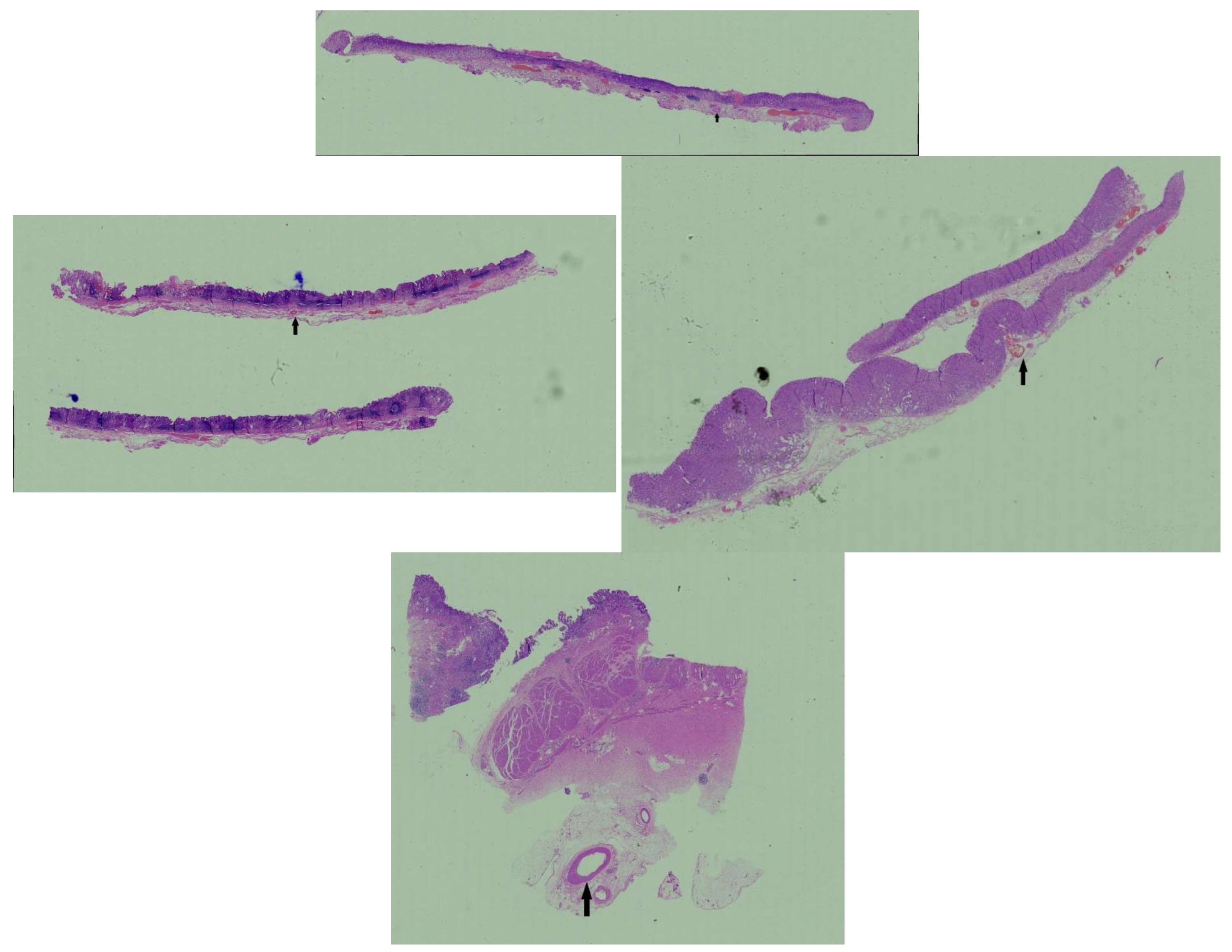 Healthcare 13 02689 g003