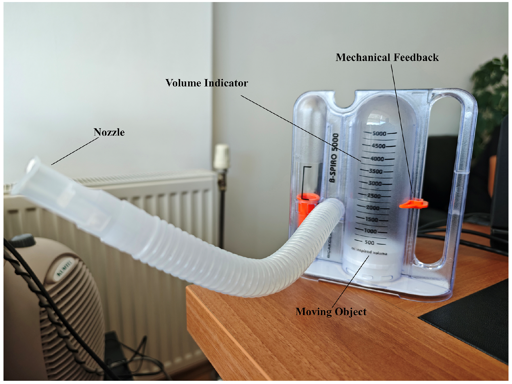 Healthcare 13 02693 g002