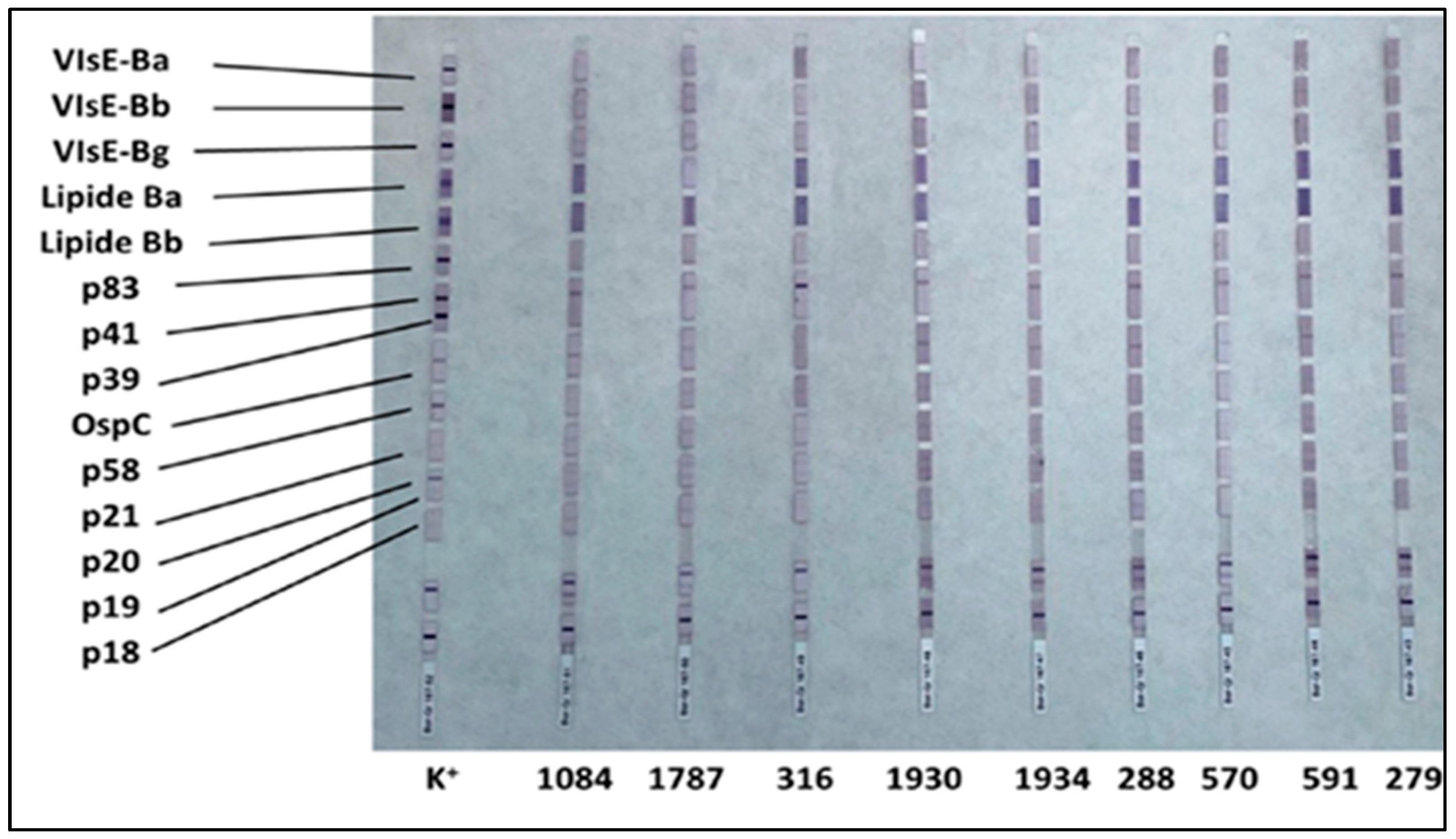 Healthcare 13 02709 g002