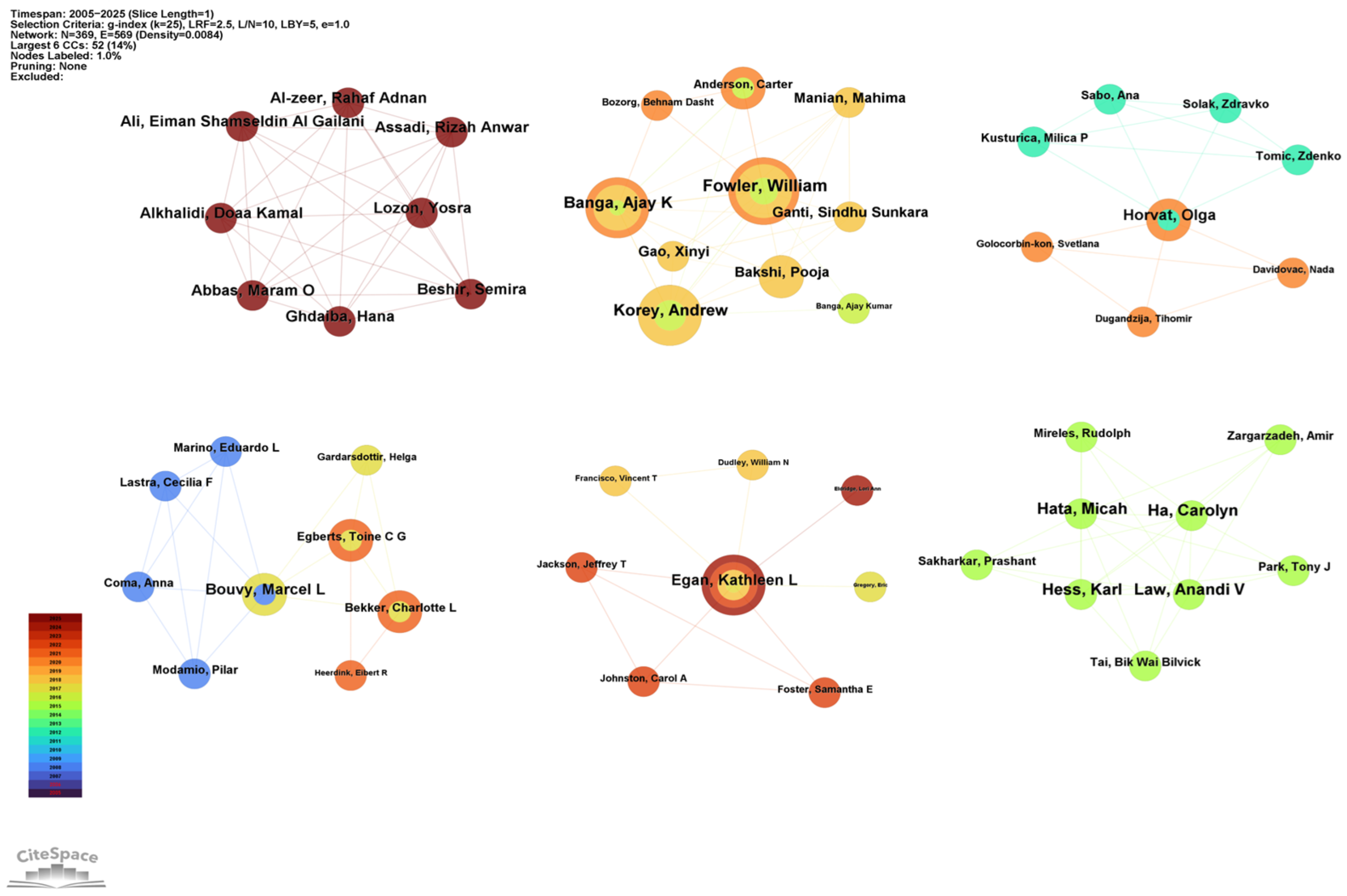 Healthcare 13 02711 g005