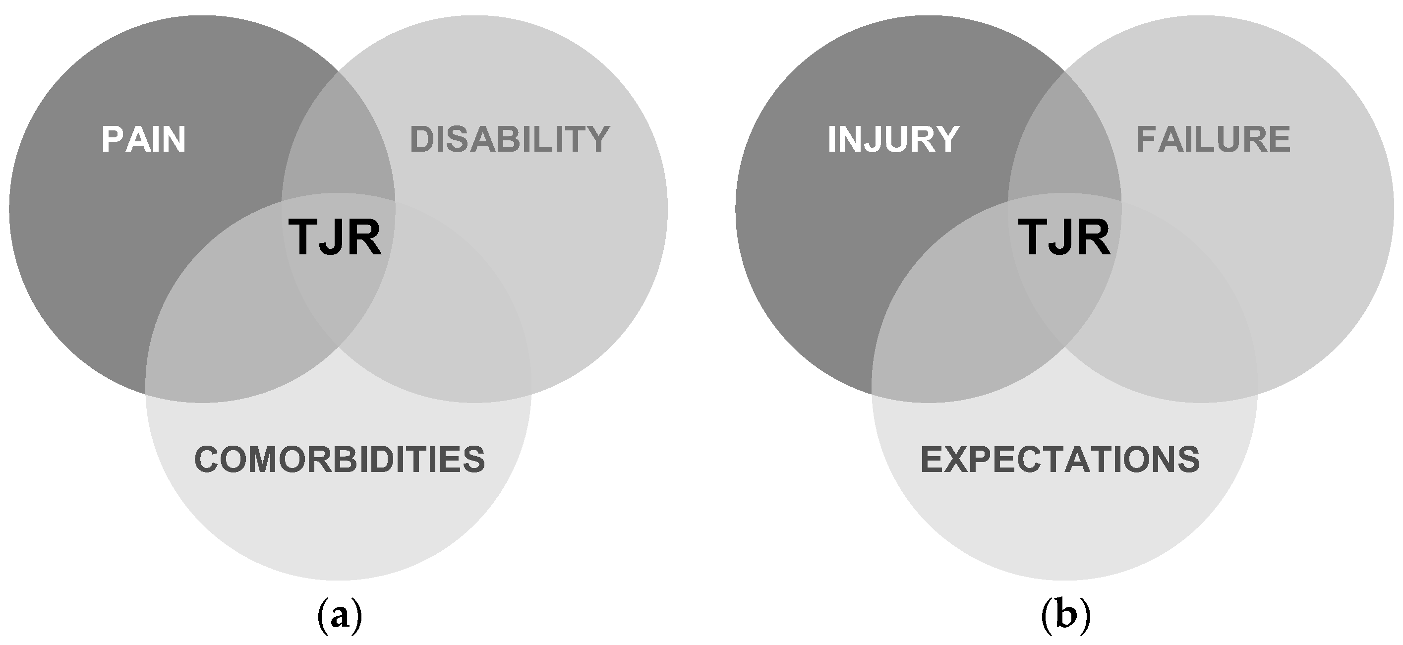 Healthcare 13 02730 g001