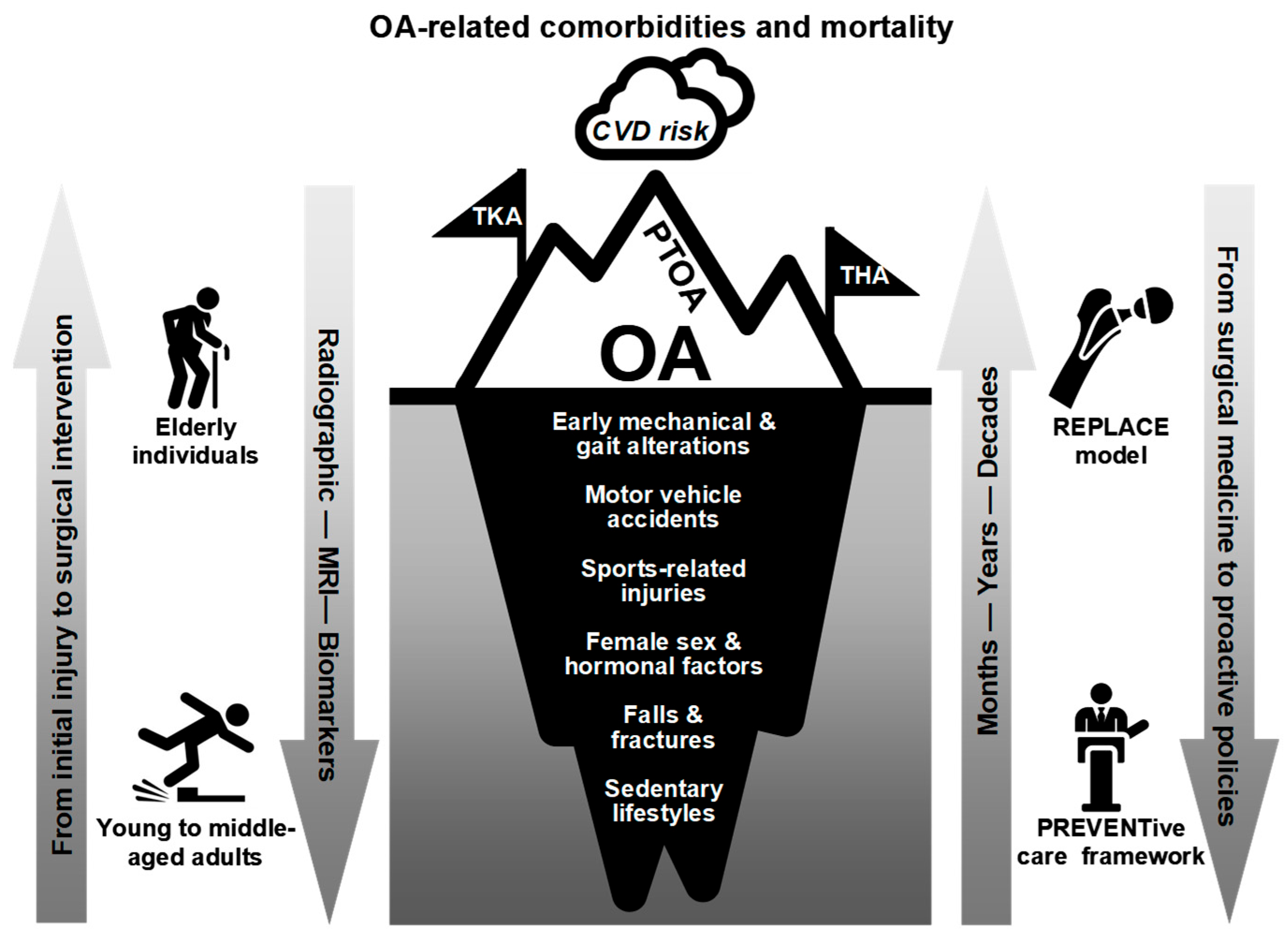 Healthcare 13 02730 g003