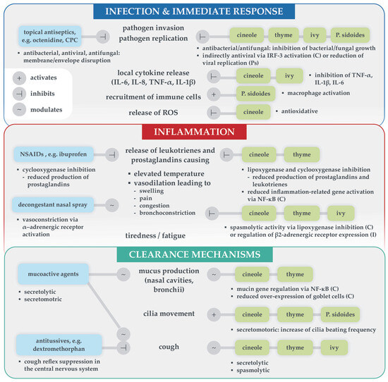 Healthcare 13 02738 g002