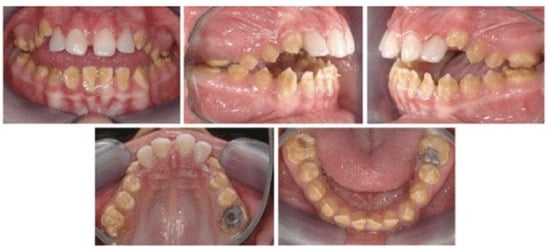 Healthcare 13 02740 g001