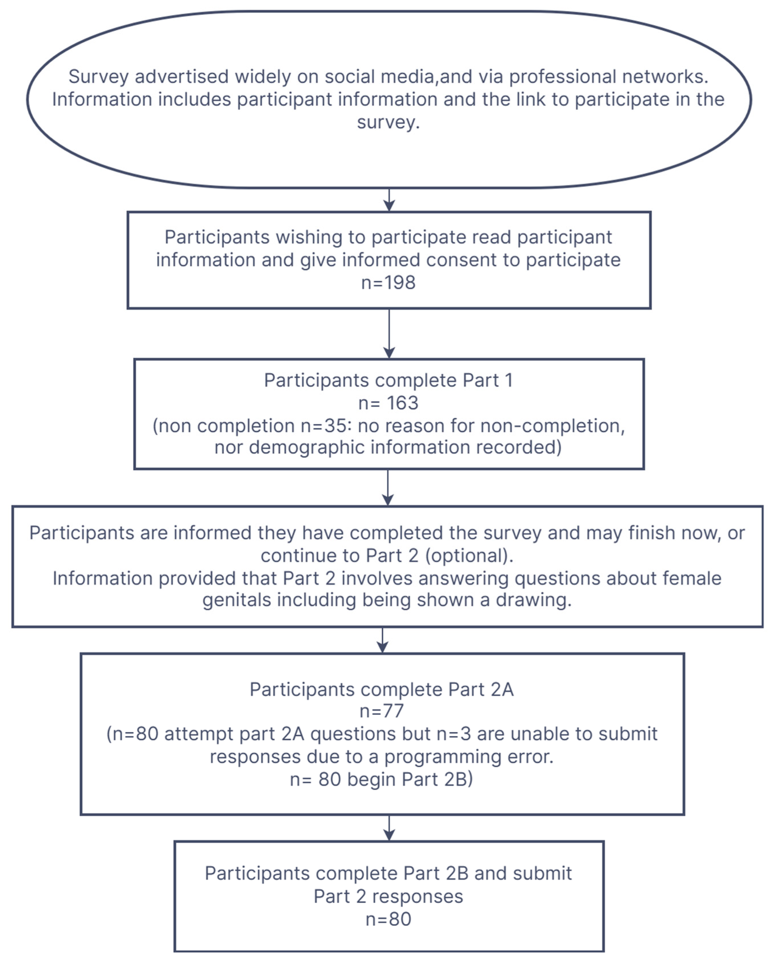 Healthcare 13 02743 g001
