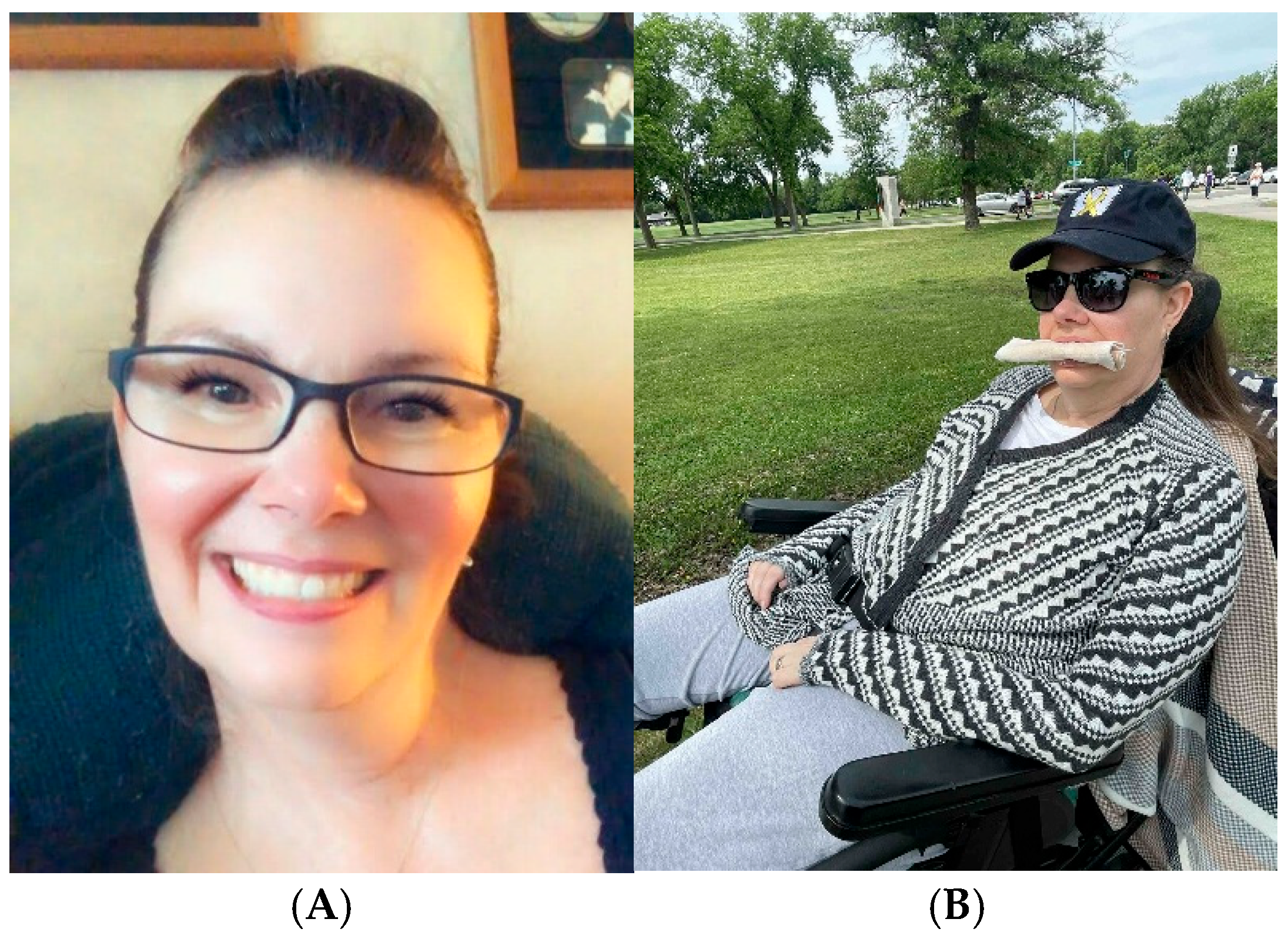 Healthcare 13 02754 g001