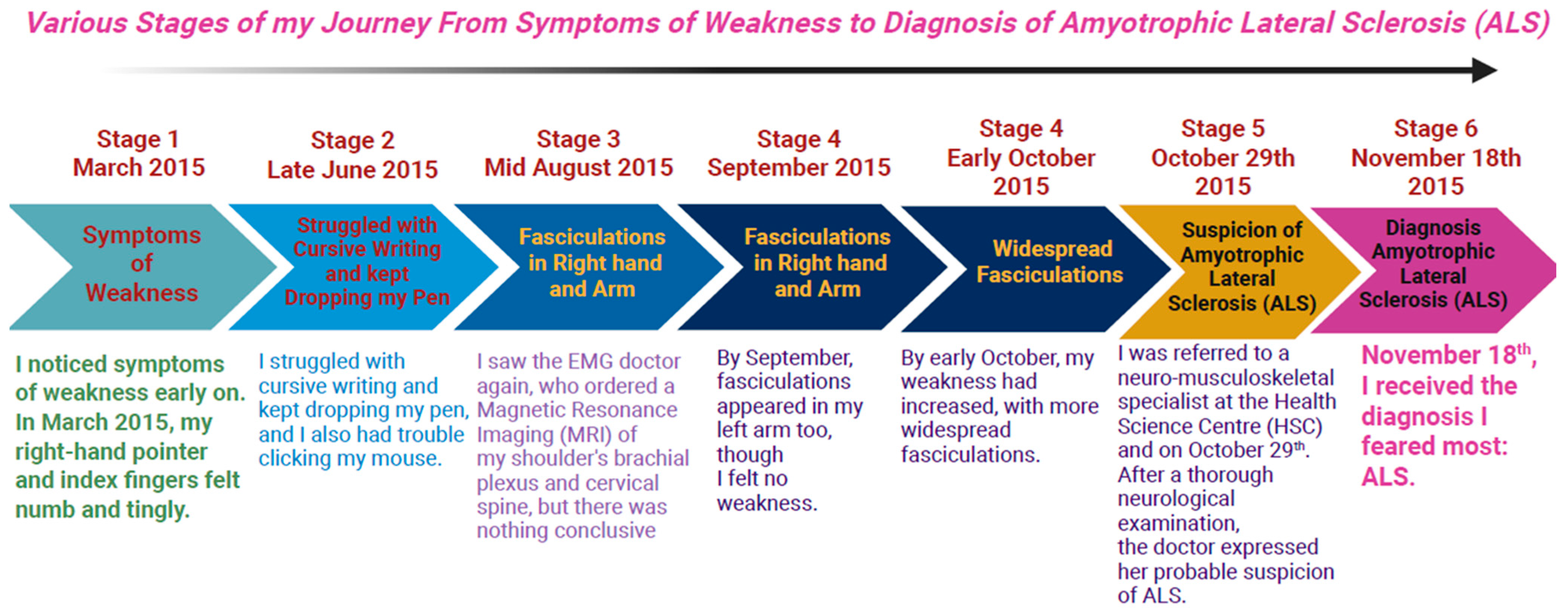 Healthcare 13 02754 g002