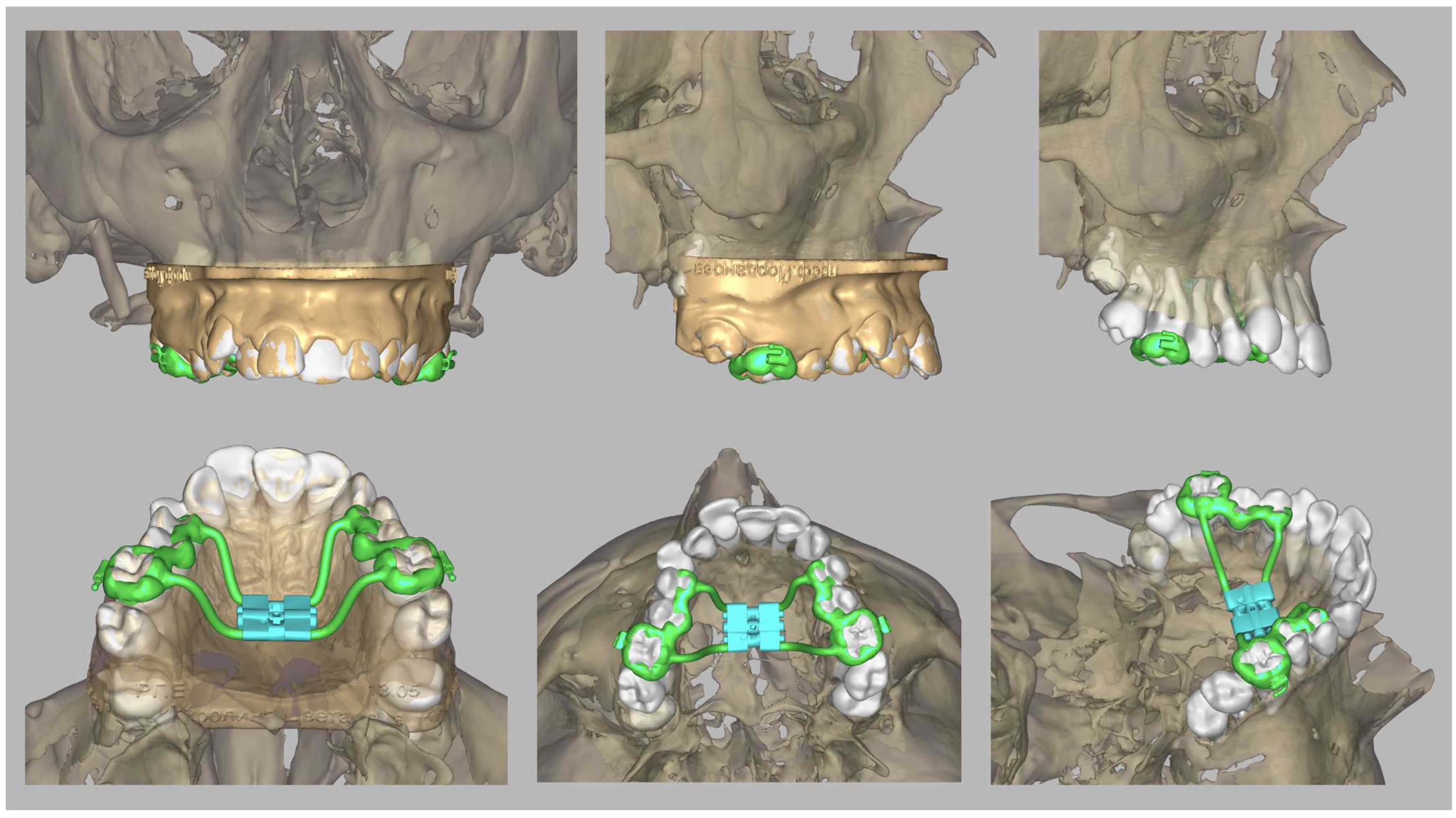 Healthcare 13 02756 g002