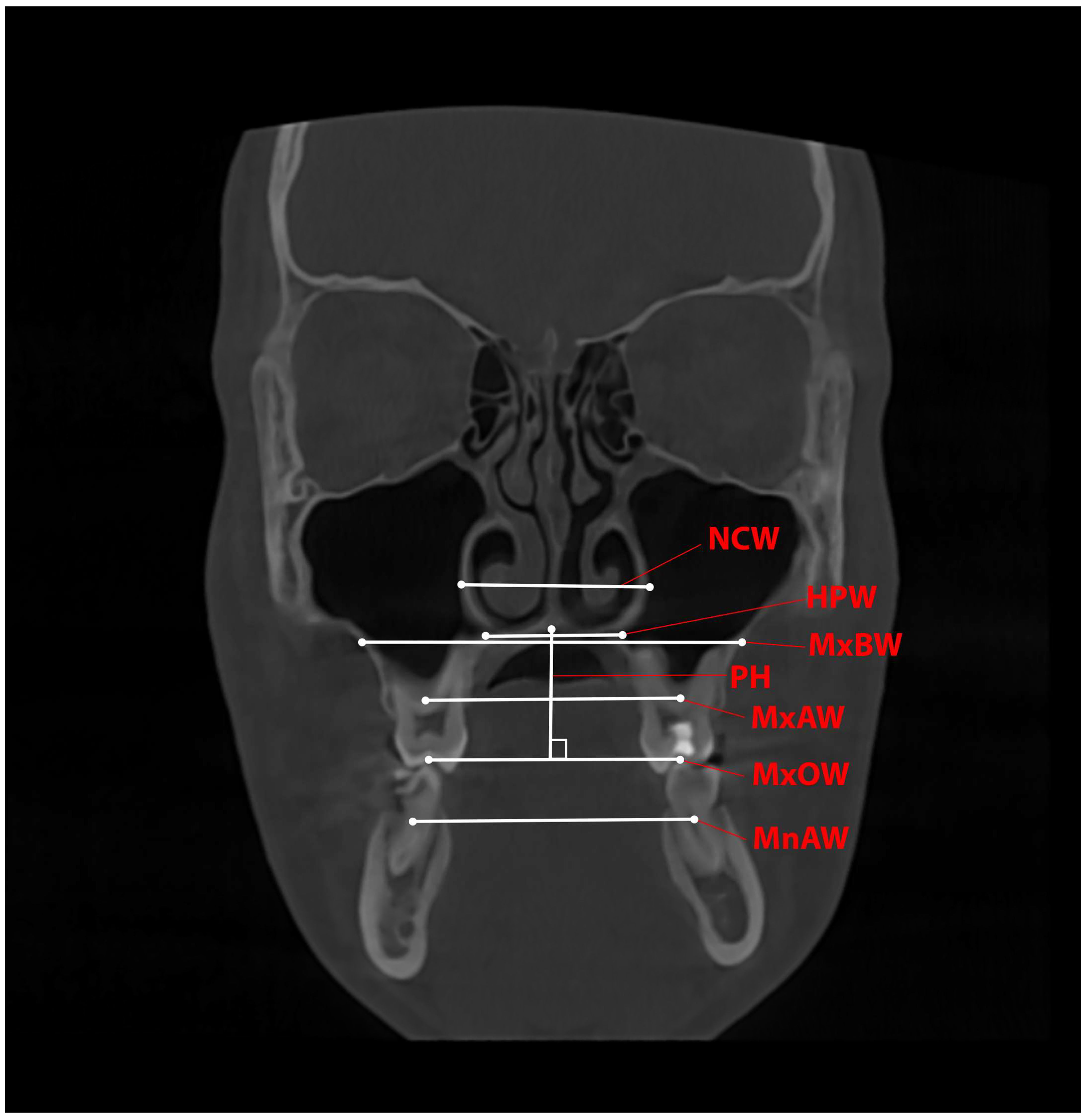 Healthcare 13 02756 g003