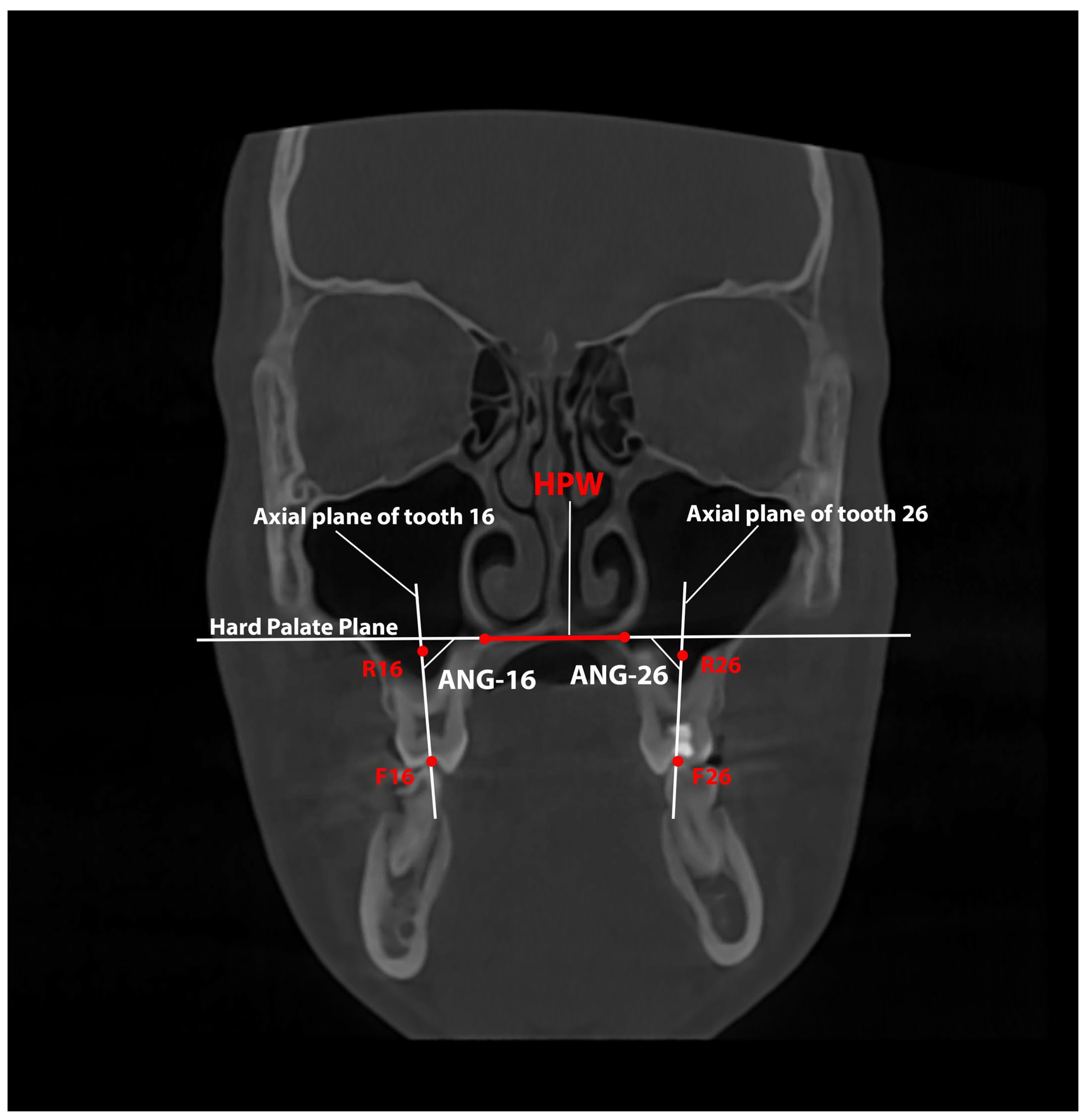 Healthcare 13 02756 g004