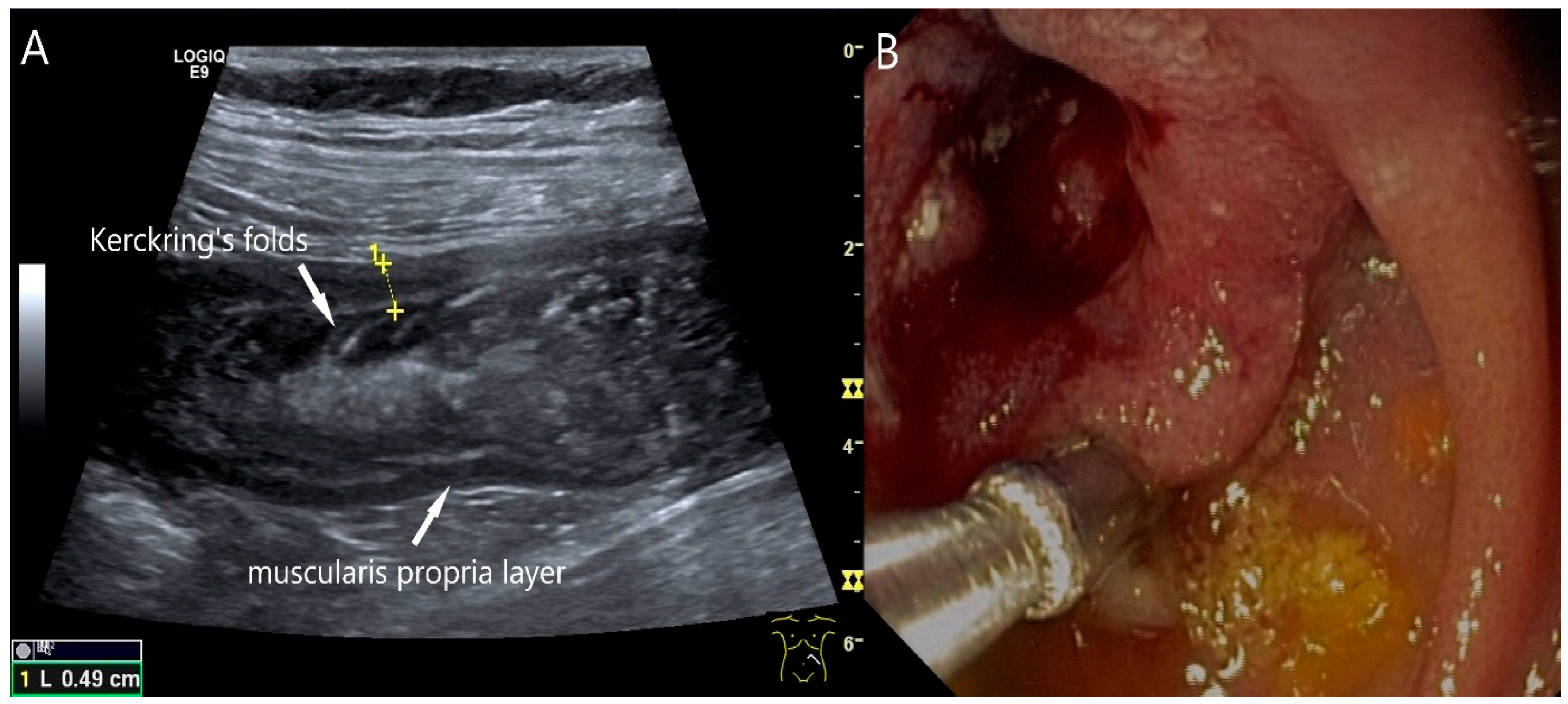 Healthcare 13 02776 g002