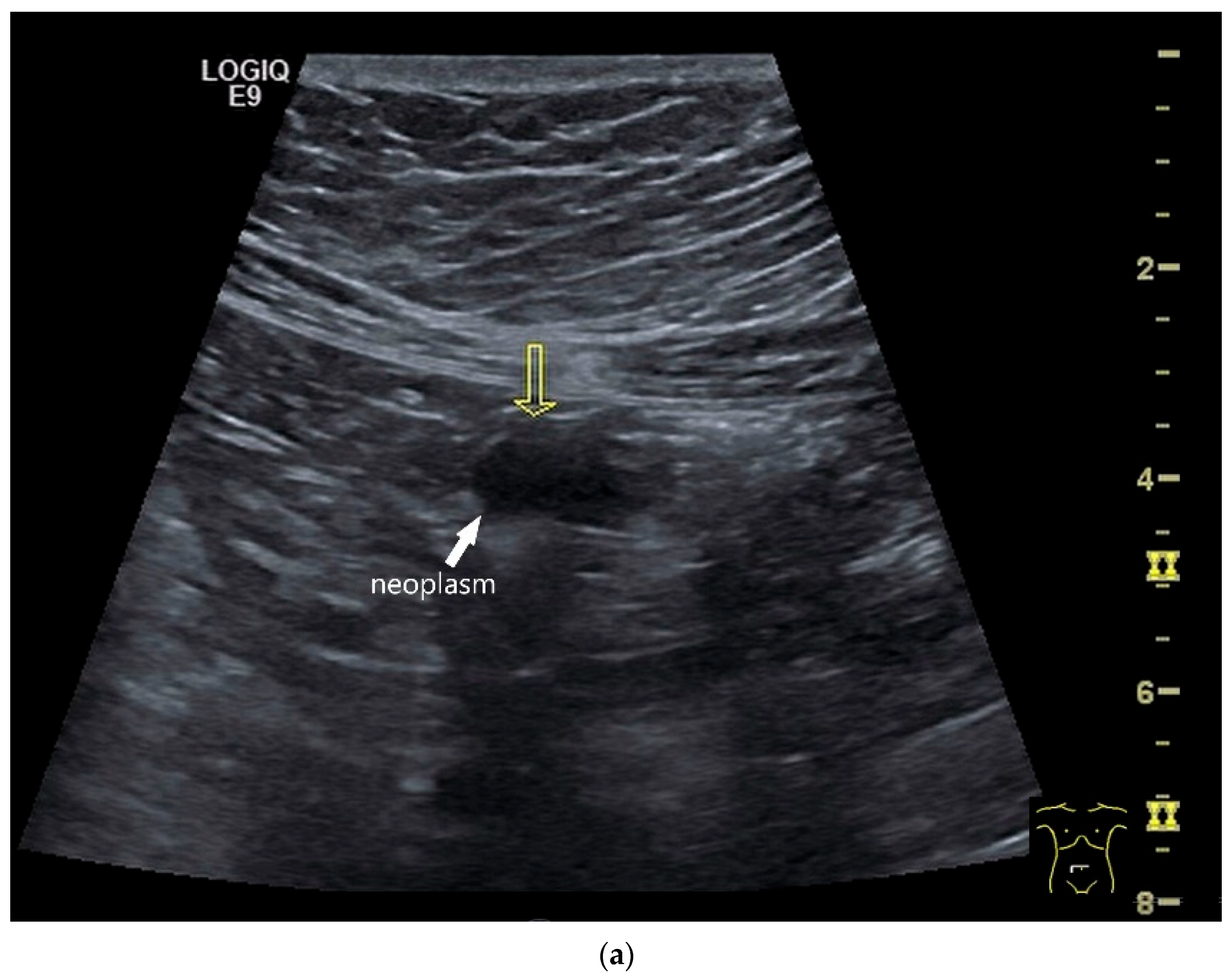 Healthcare 13 02776 g004a