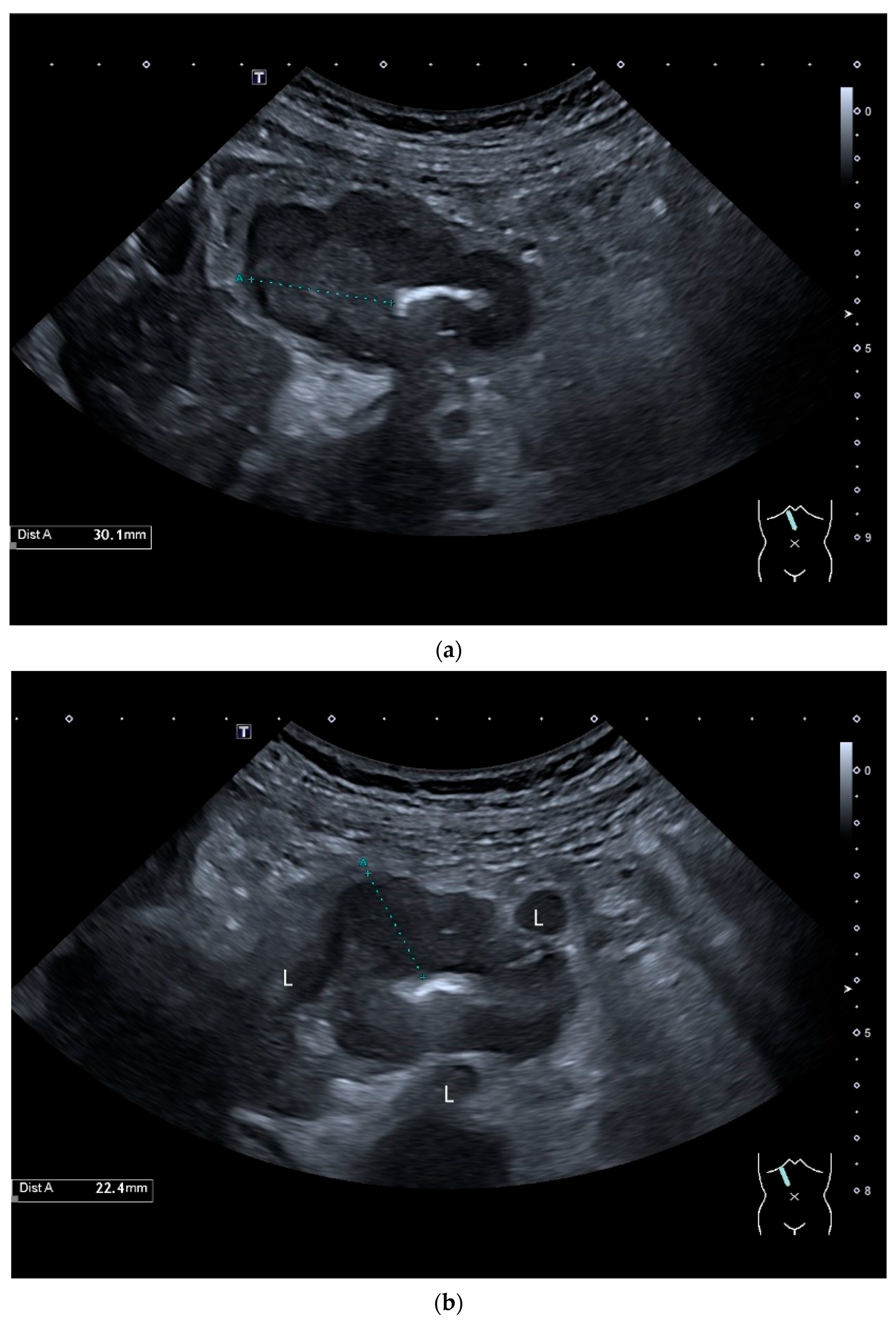 Healthcare 13 02776 g005