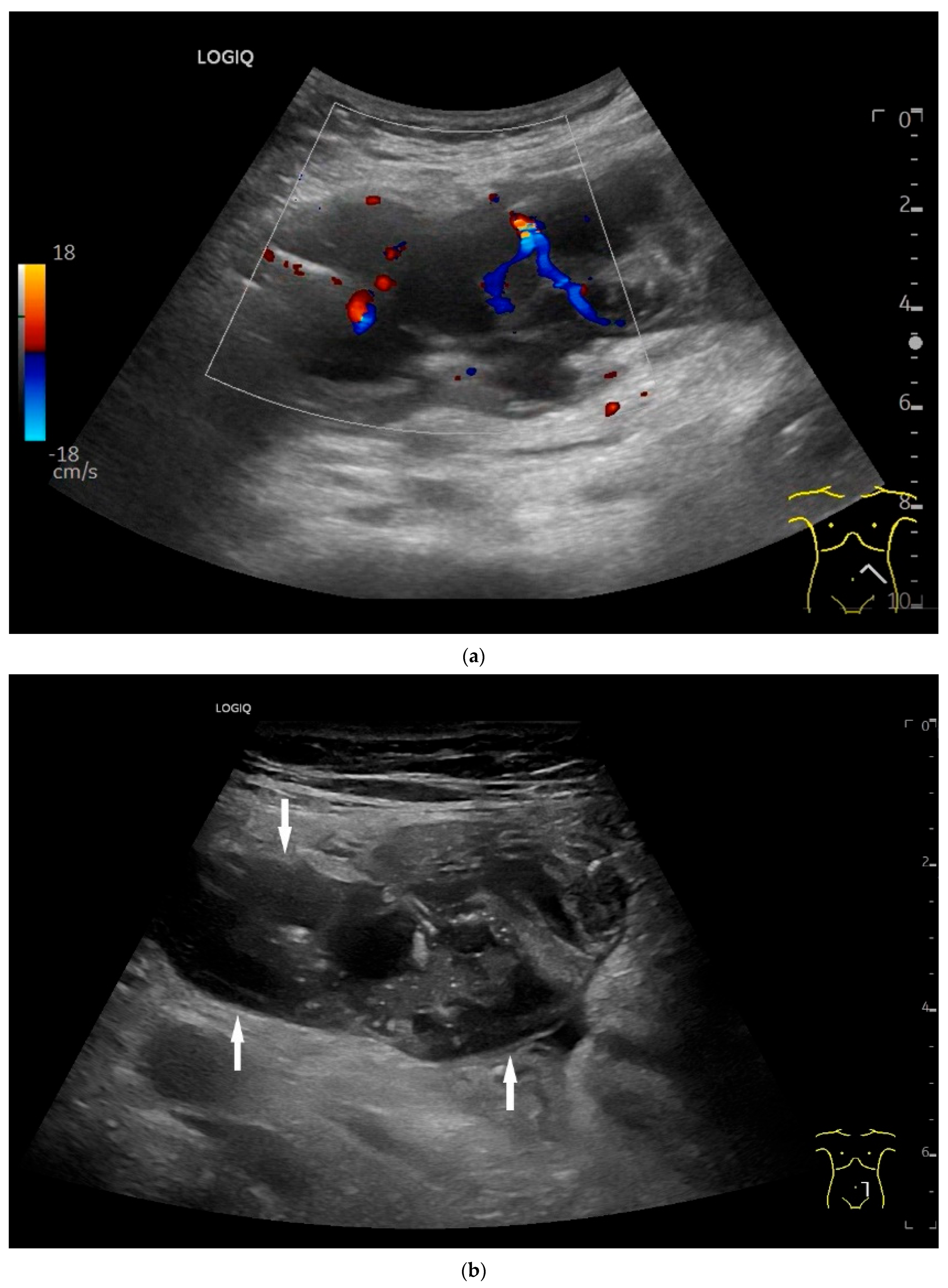 Healthcare 13 02776 g009a