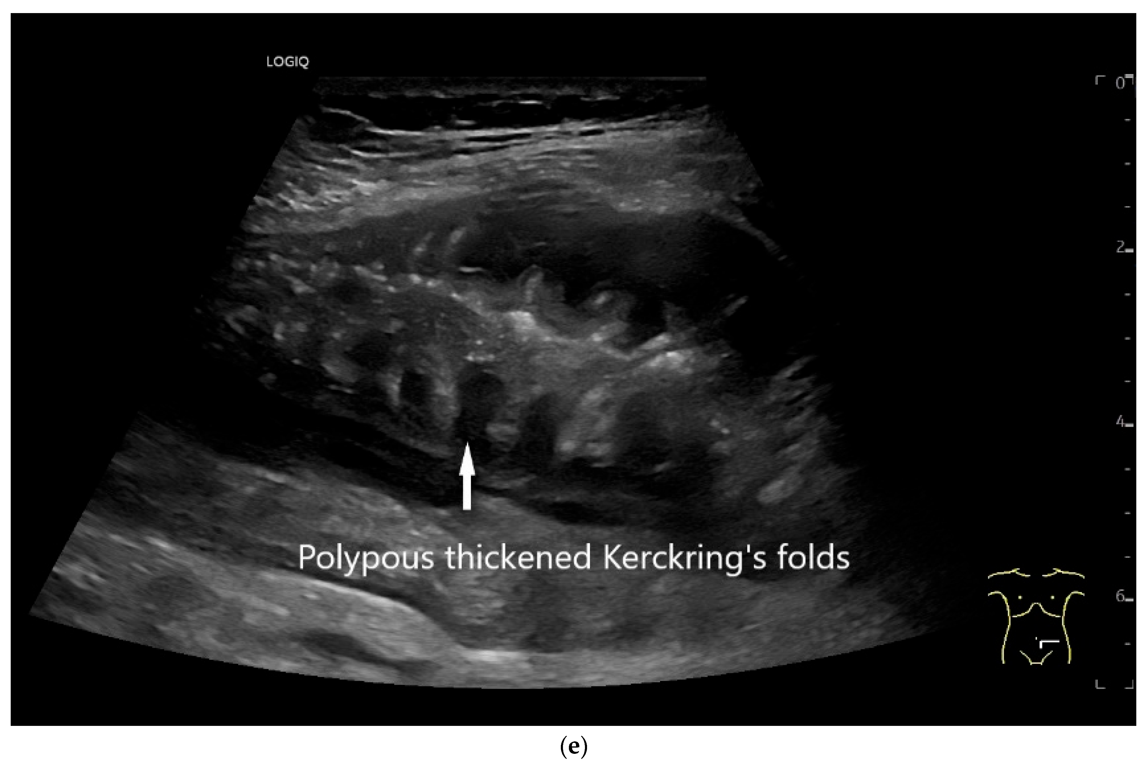 Healthcare 13 02776 g009c