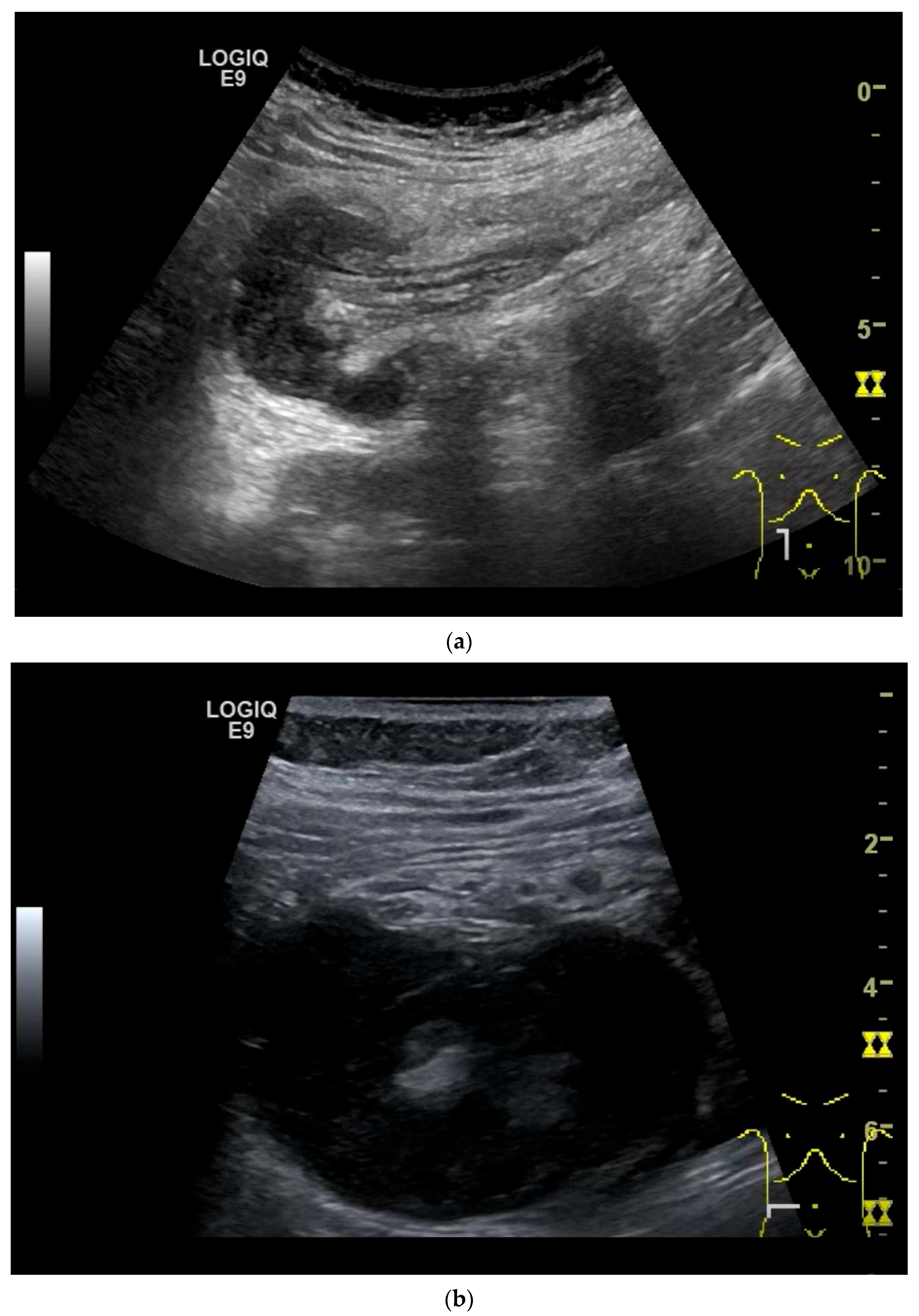 Healthcare 13 02776 g010a