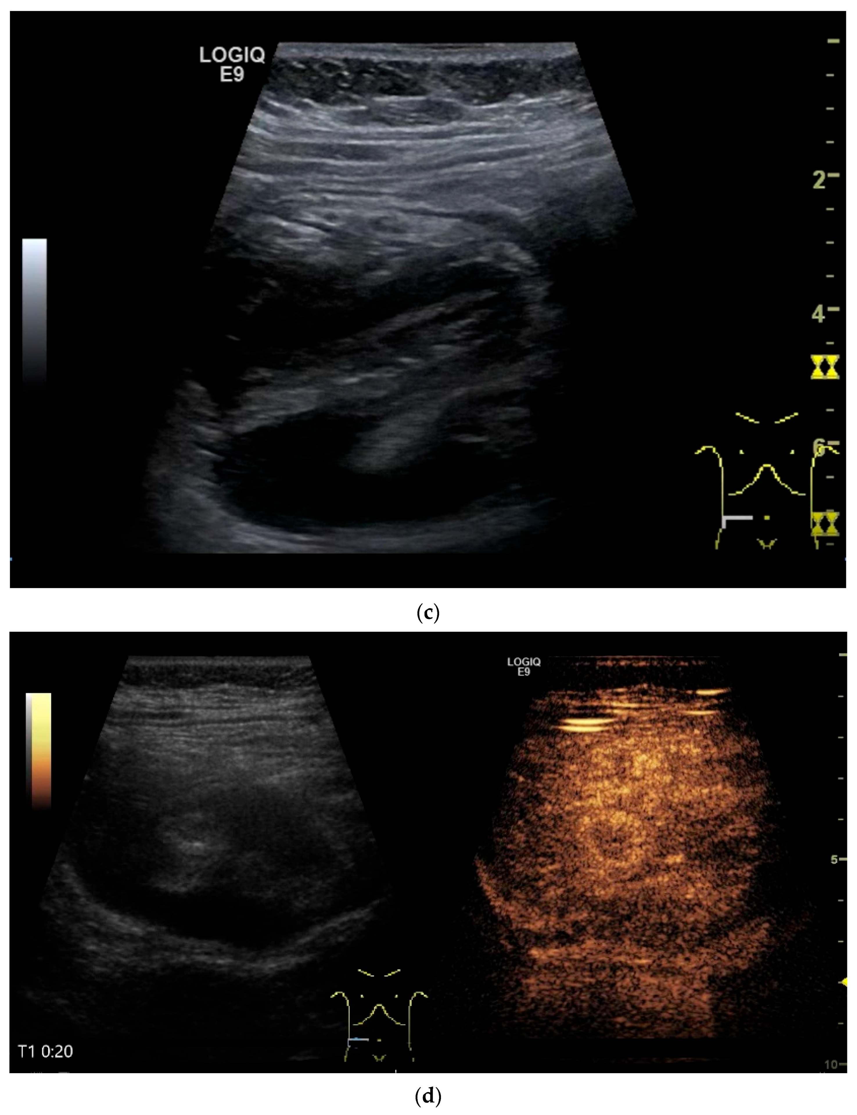 Healthcare 13 02776 g010b