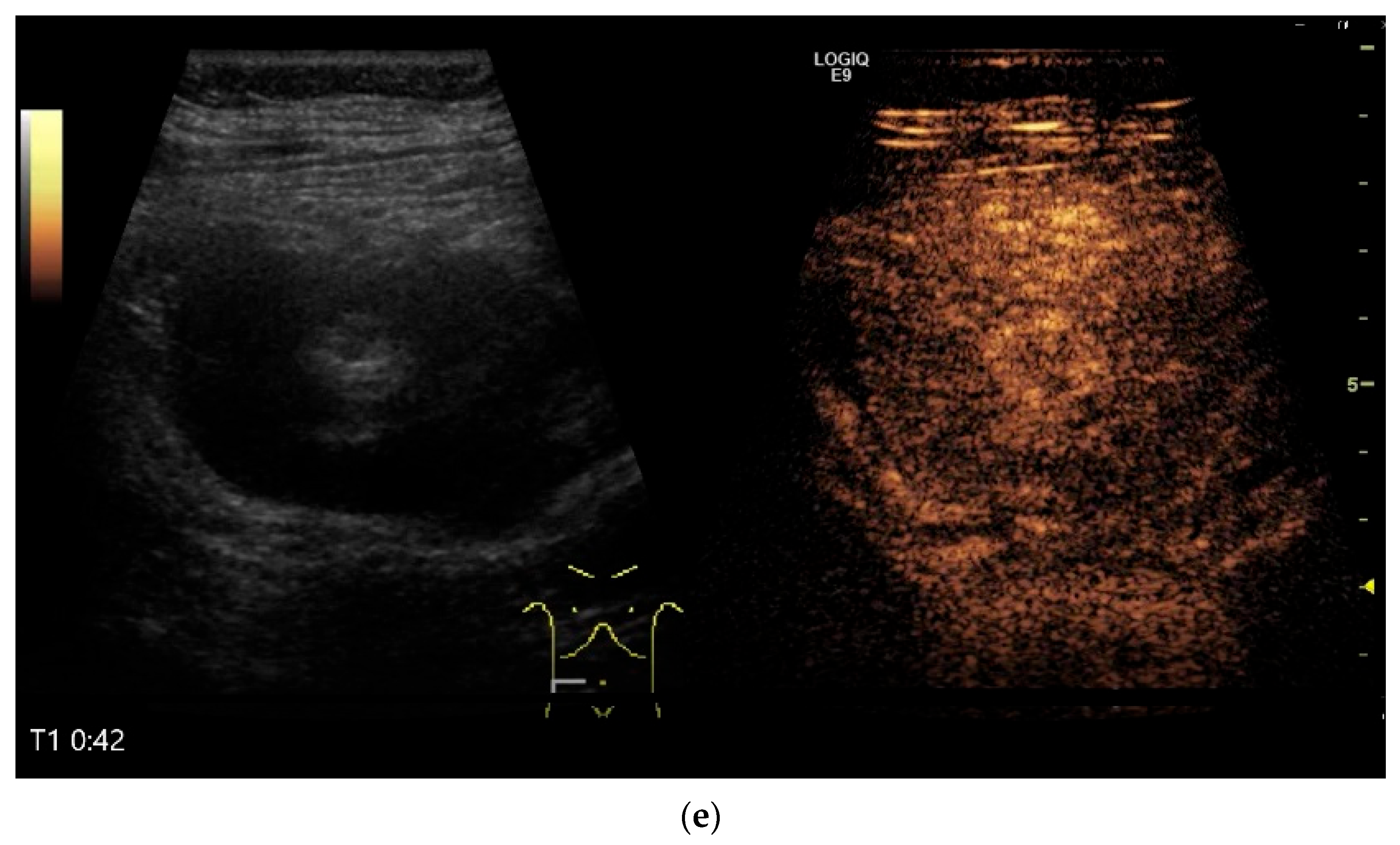 Healthcare 13 02776 g010c