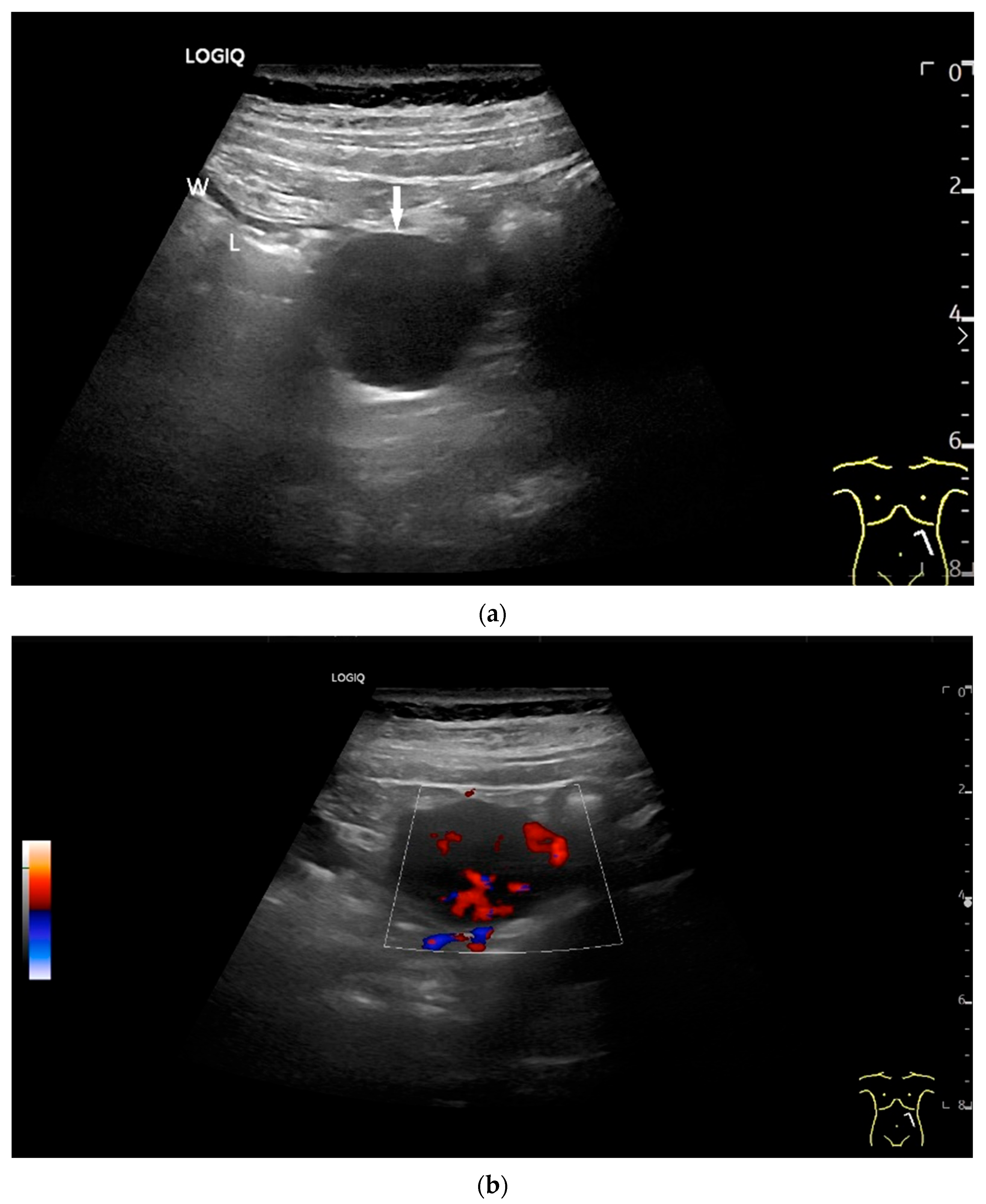 Healthcare 13 02776 g011a