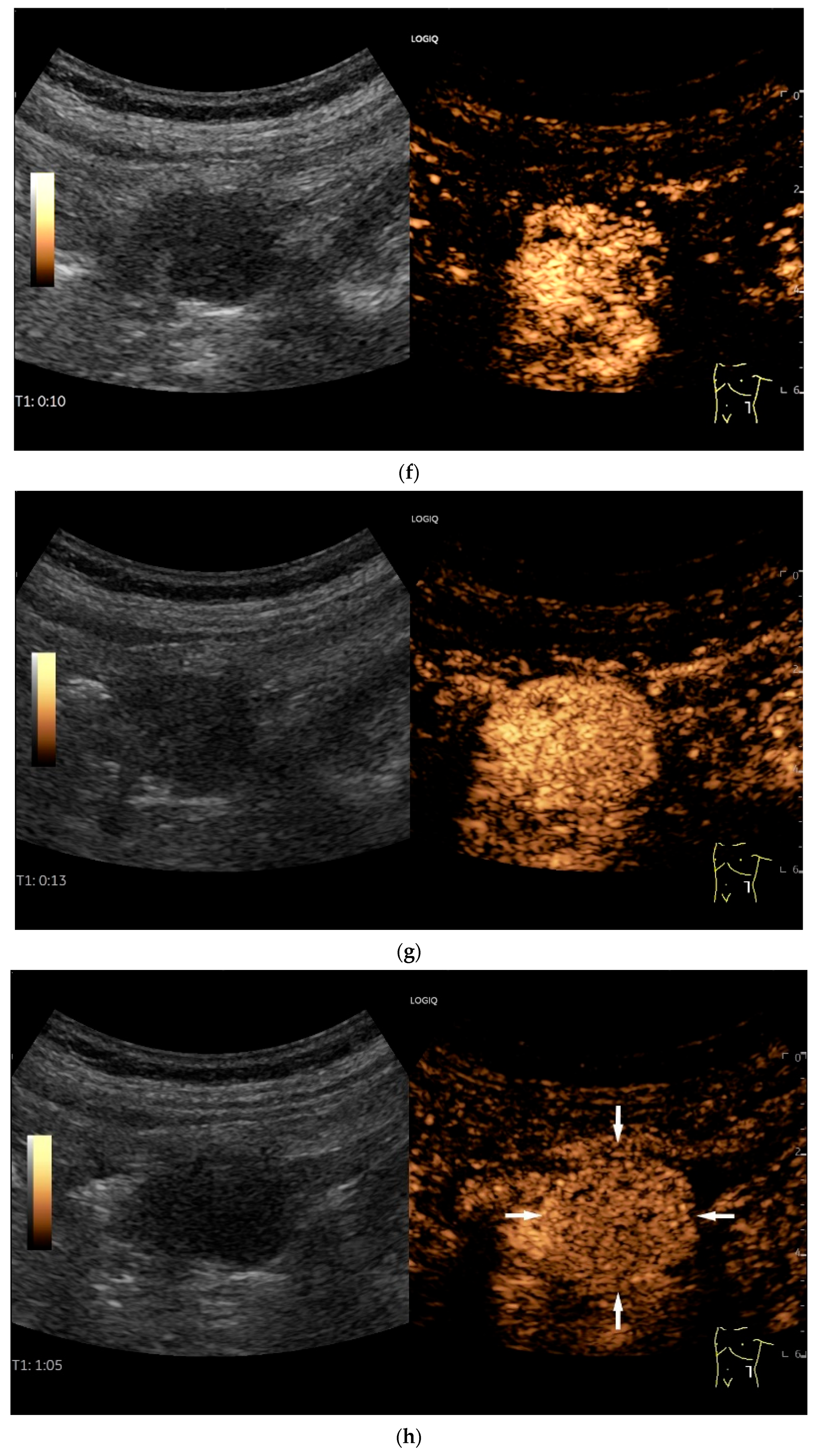 Healthcare 13 02776 g011c